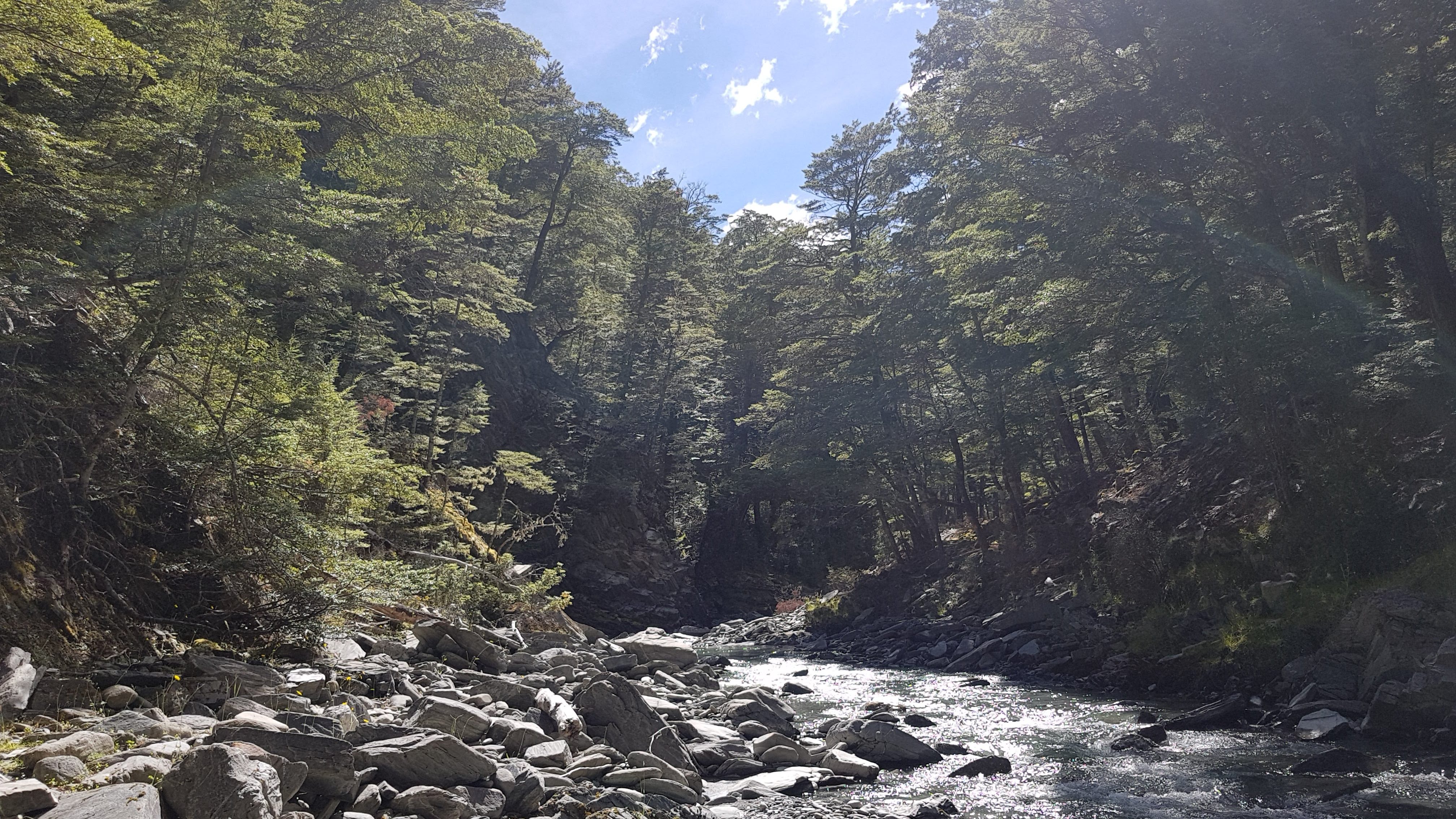 Te Araroa Trail Timaru River