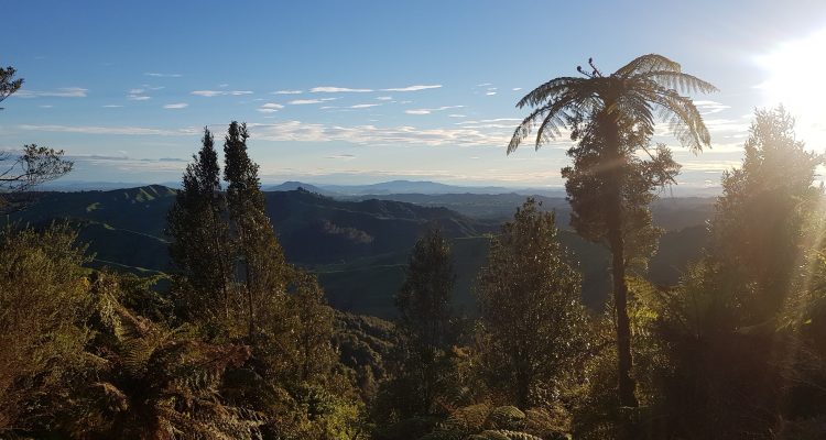 Te Araroa Trail Waikato
