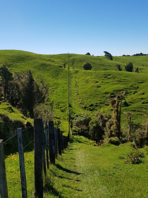 Te Araroa Trail Waikato