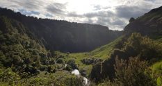 Te Araroa Trail Mangaokewa river track