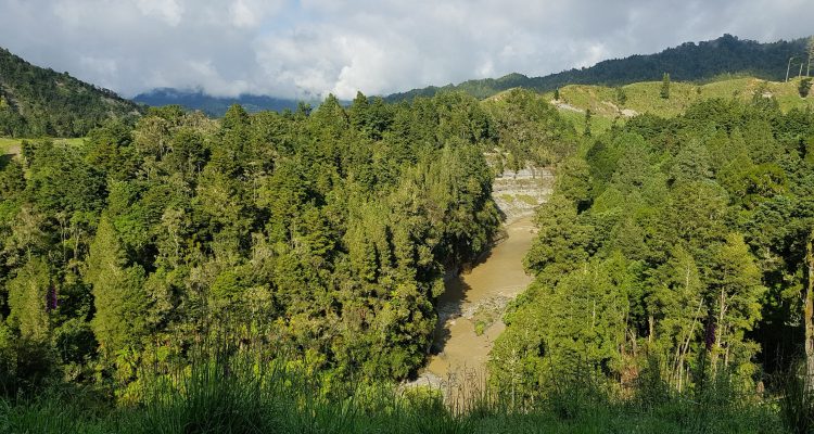 Te Araroa Trail Day 51 - Towards Whakahoro