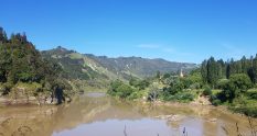Te Araroa Trail Whanganui River from Pipiriki