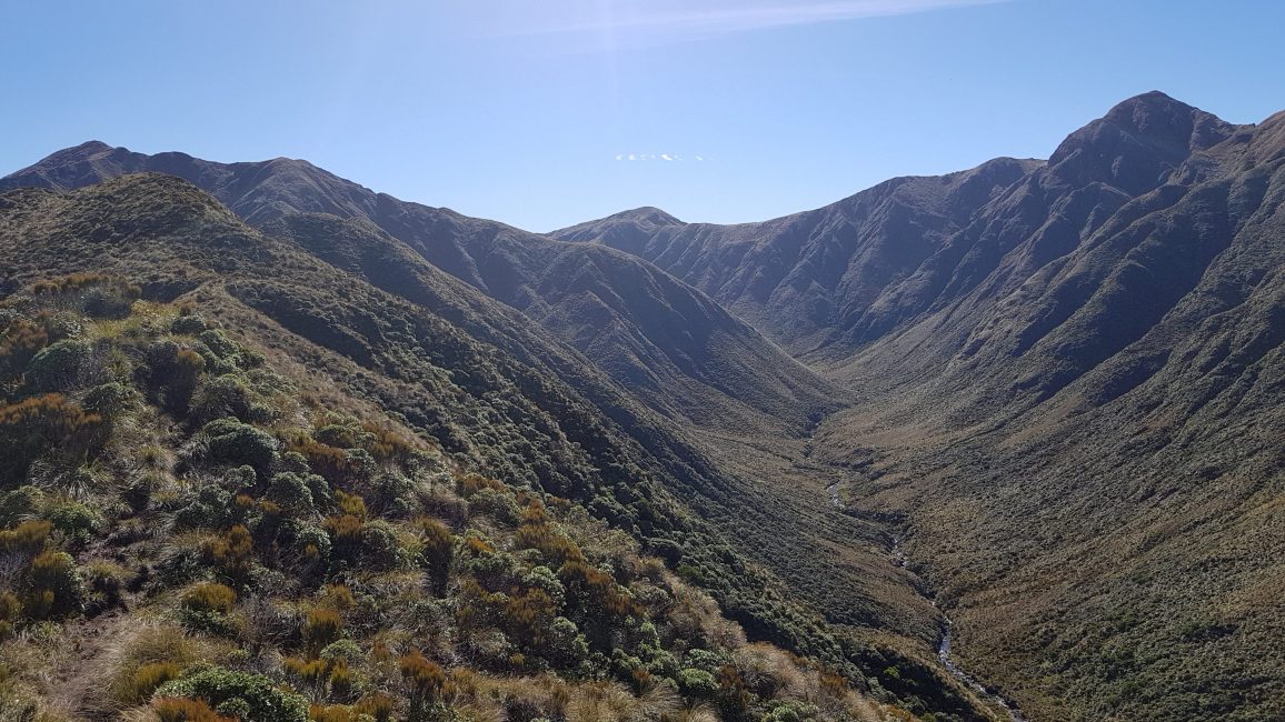 Te Araroa Trail Pukematawai ridge Tararuas
