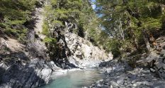 Te Araroa Trail Day 94 - Timaru river valley