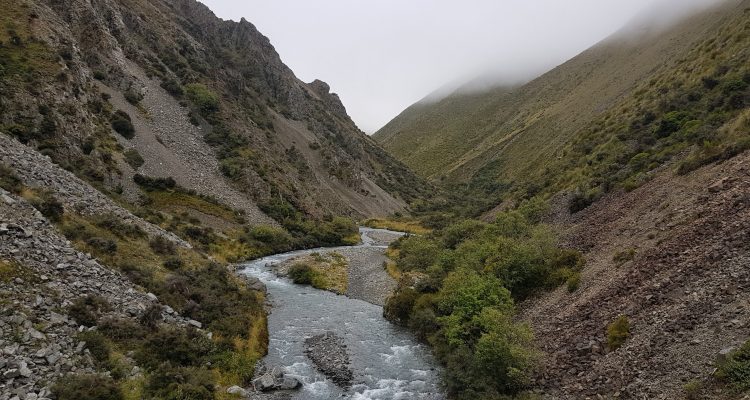 Te Araroa Trail Day 137 - Roundhill Creek to Clent Saddle