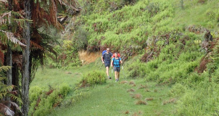 Te Araroa Trail Fishers Track