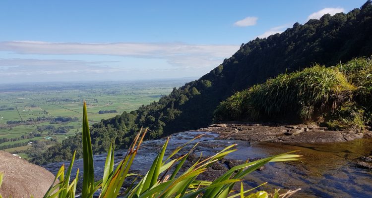 Wairere Falls - Waikato