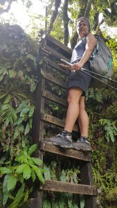 Tinytramper on a ladder around the mountain Taranaki