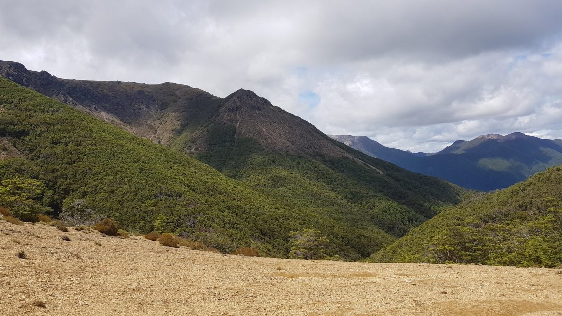 The Richmond ranges from Starveall hut