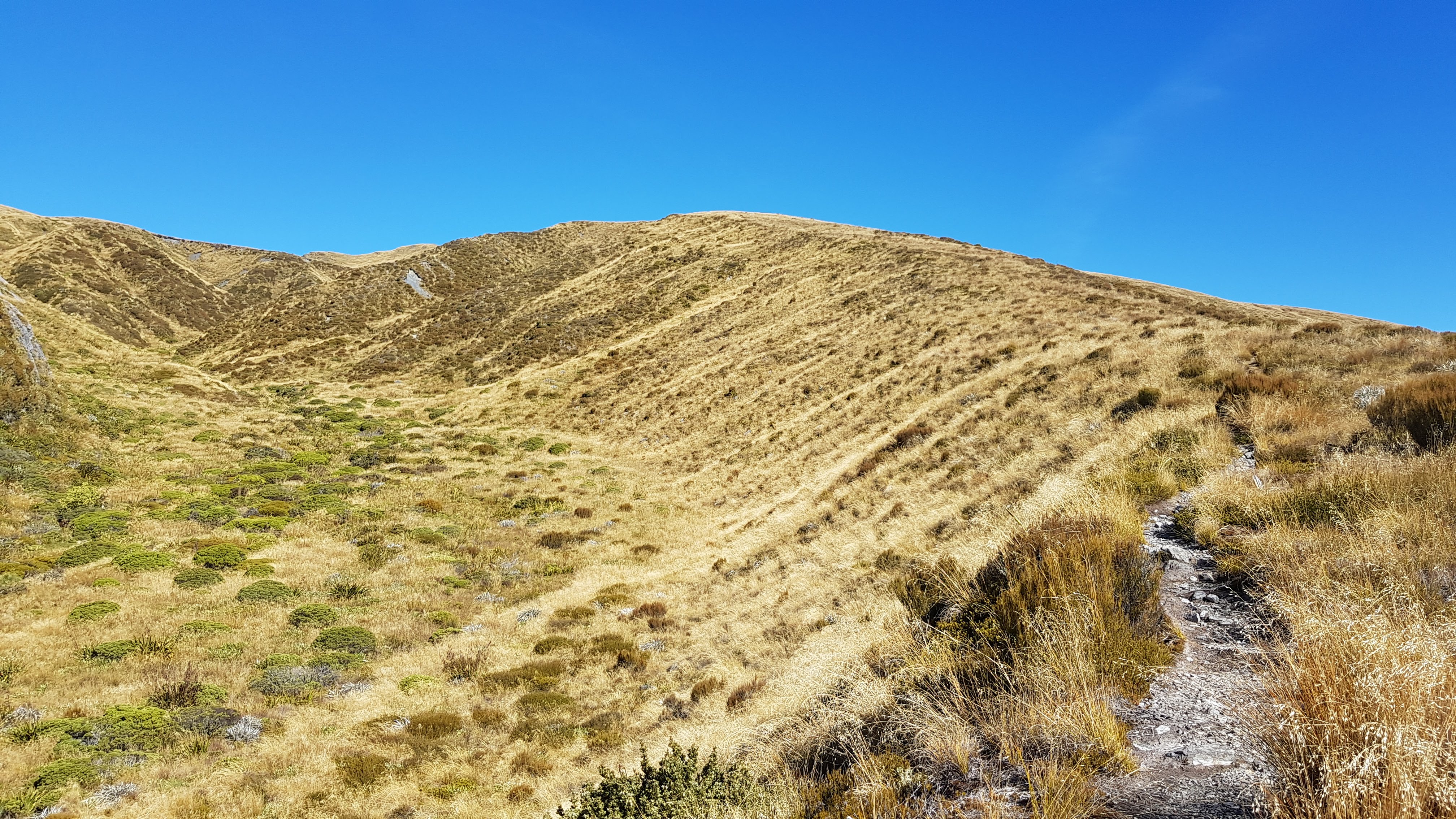 The beautiful ridge track towards Sentinel Hill