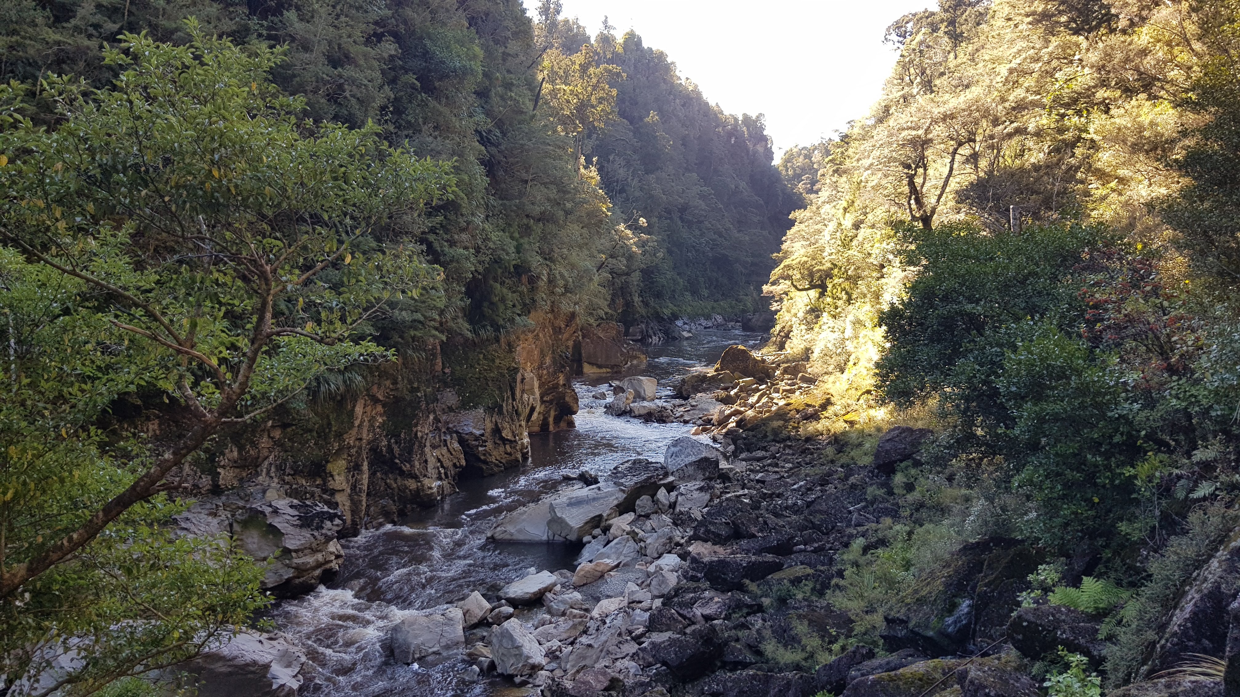 The Ngakawau River gorge