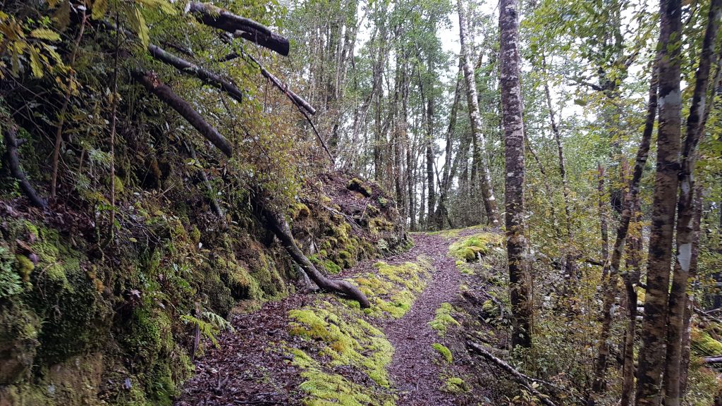 Big River Track Waiuta to Big River Mine West Coast Tinytramper®