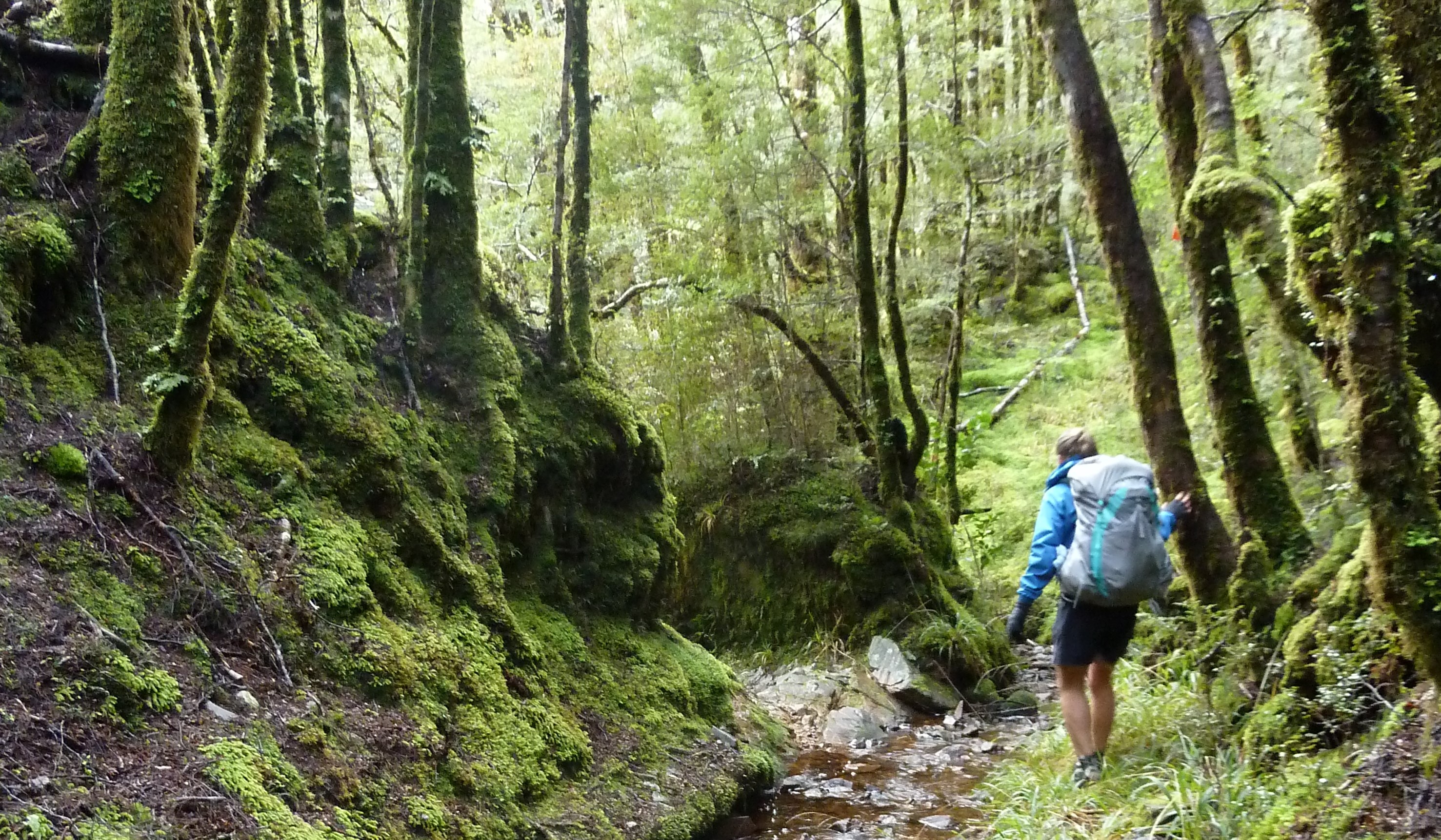 Big River Track Waiuta to Big River Mine West Coast Tinytramper®
