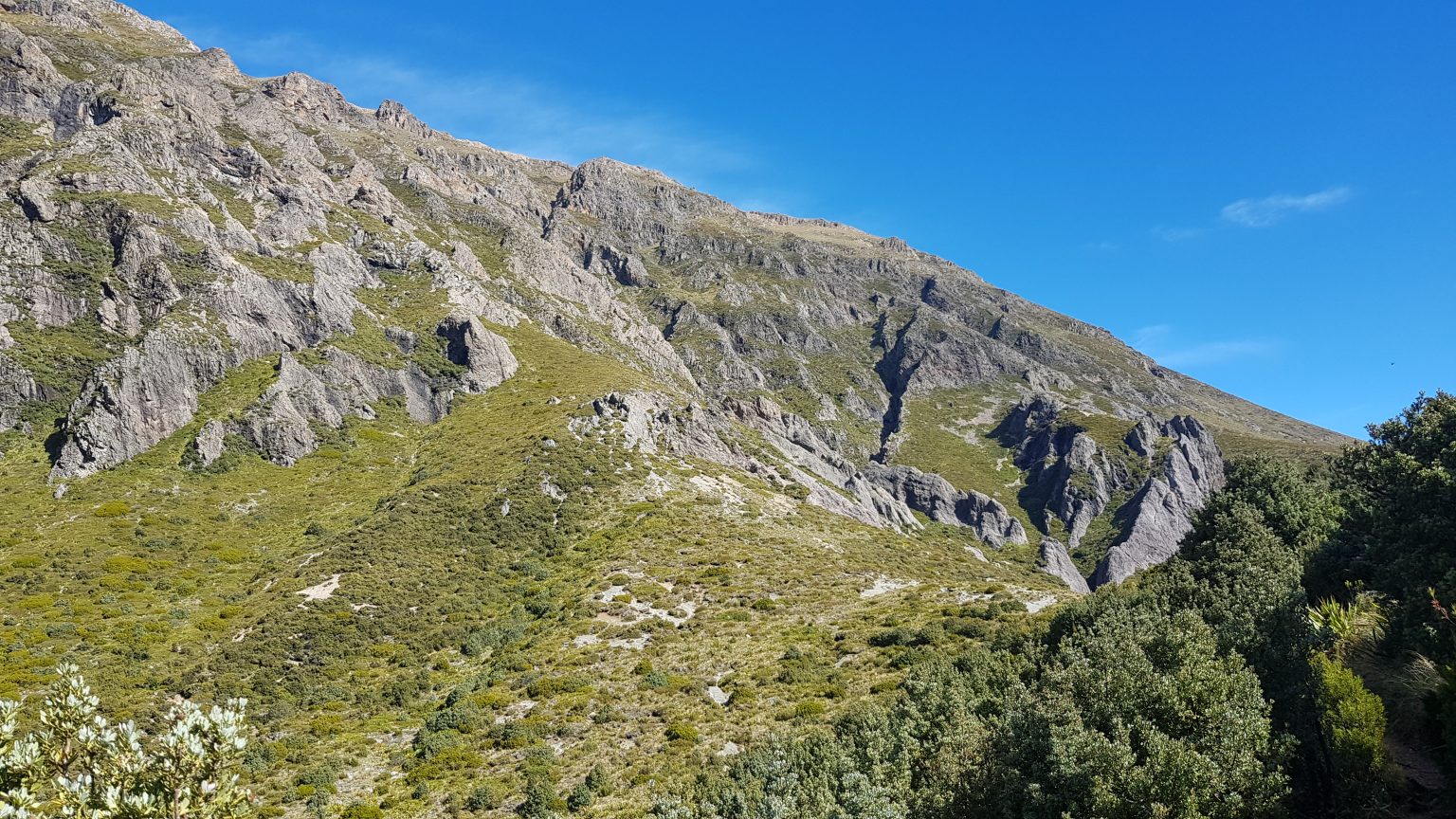 Mt Somers Track Canterbury Tinytramper®