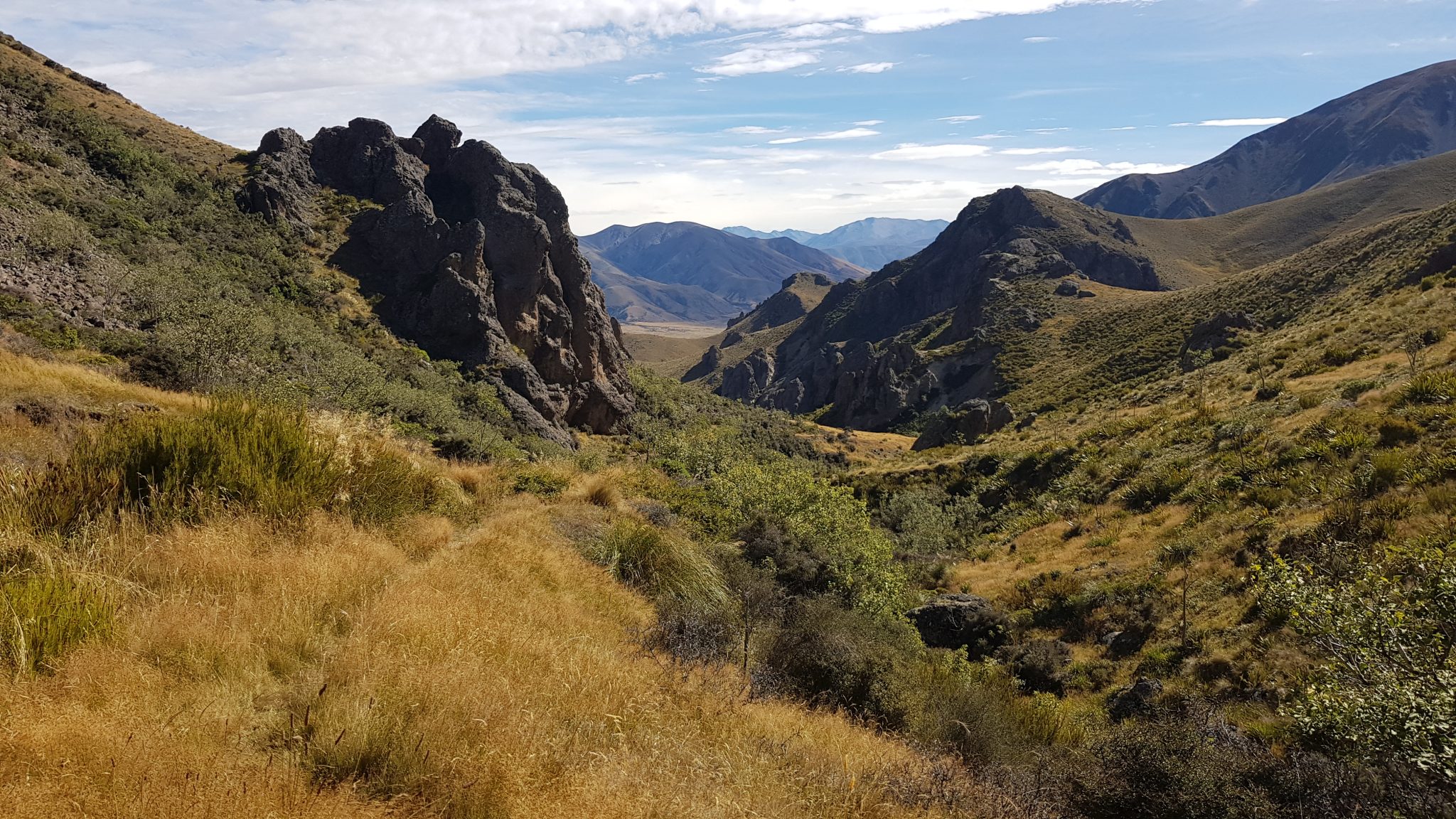 Mt Somers Track Canterbury Tinytramper®