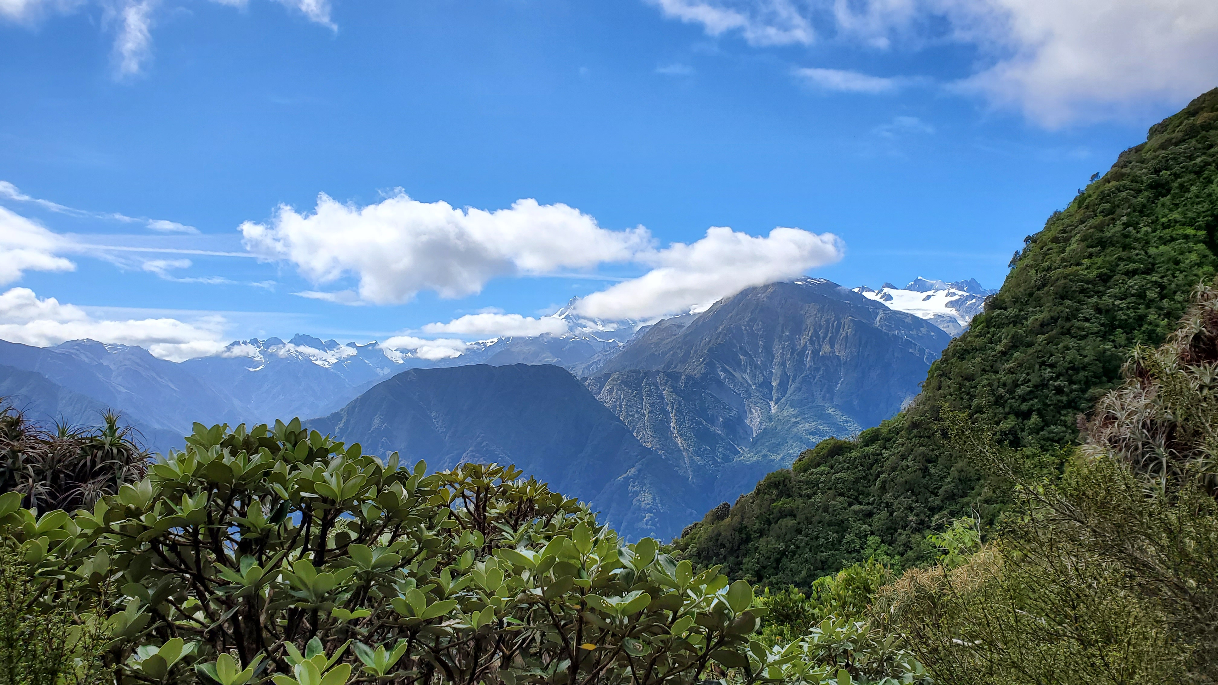 Views of the Southern Alps from the Alex Knob Track