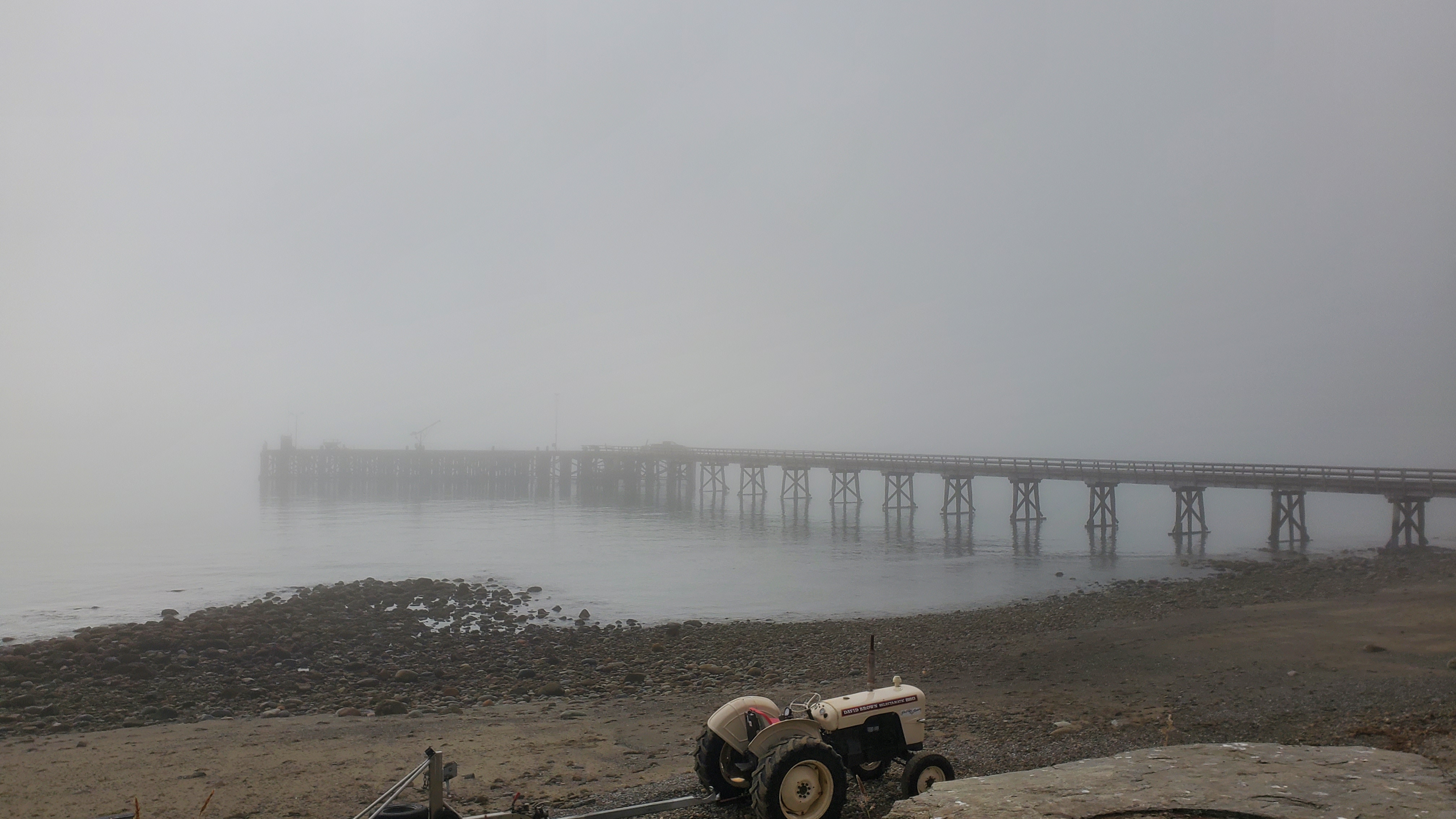 Jackson Bay wharf in fog