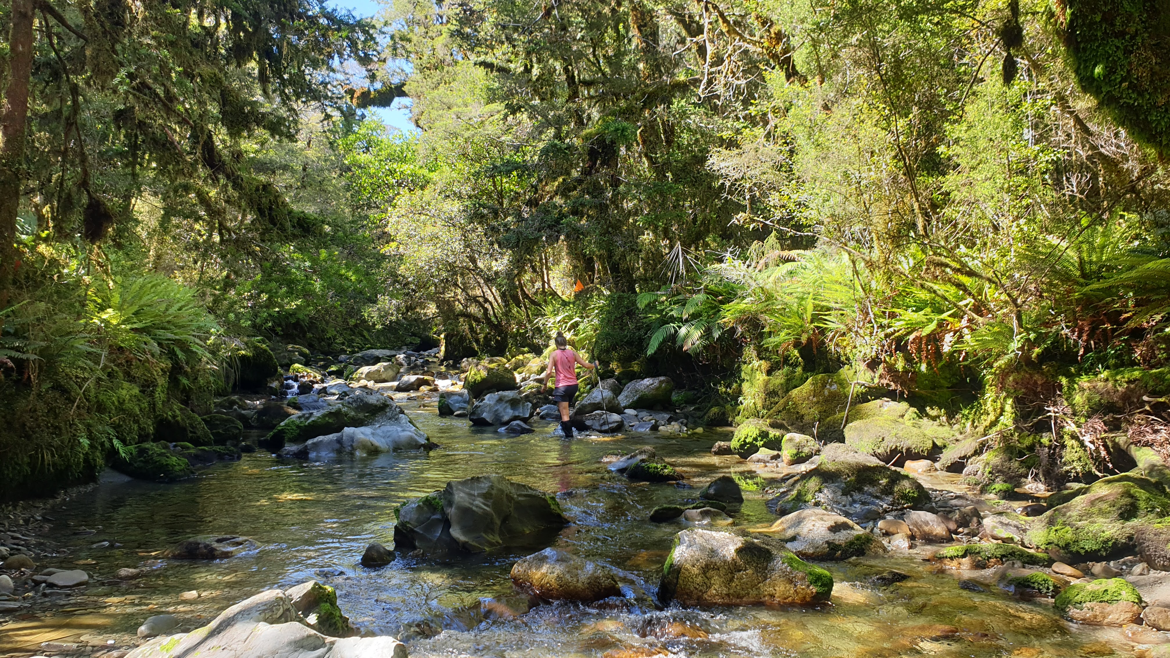 Kakapo Creek Stafford Bay Route