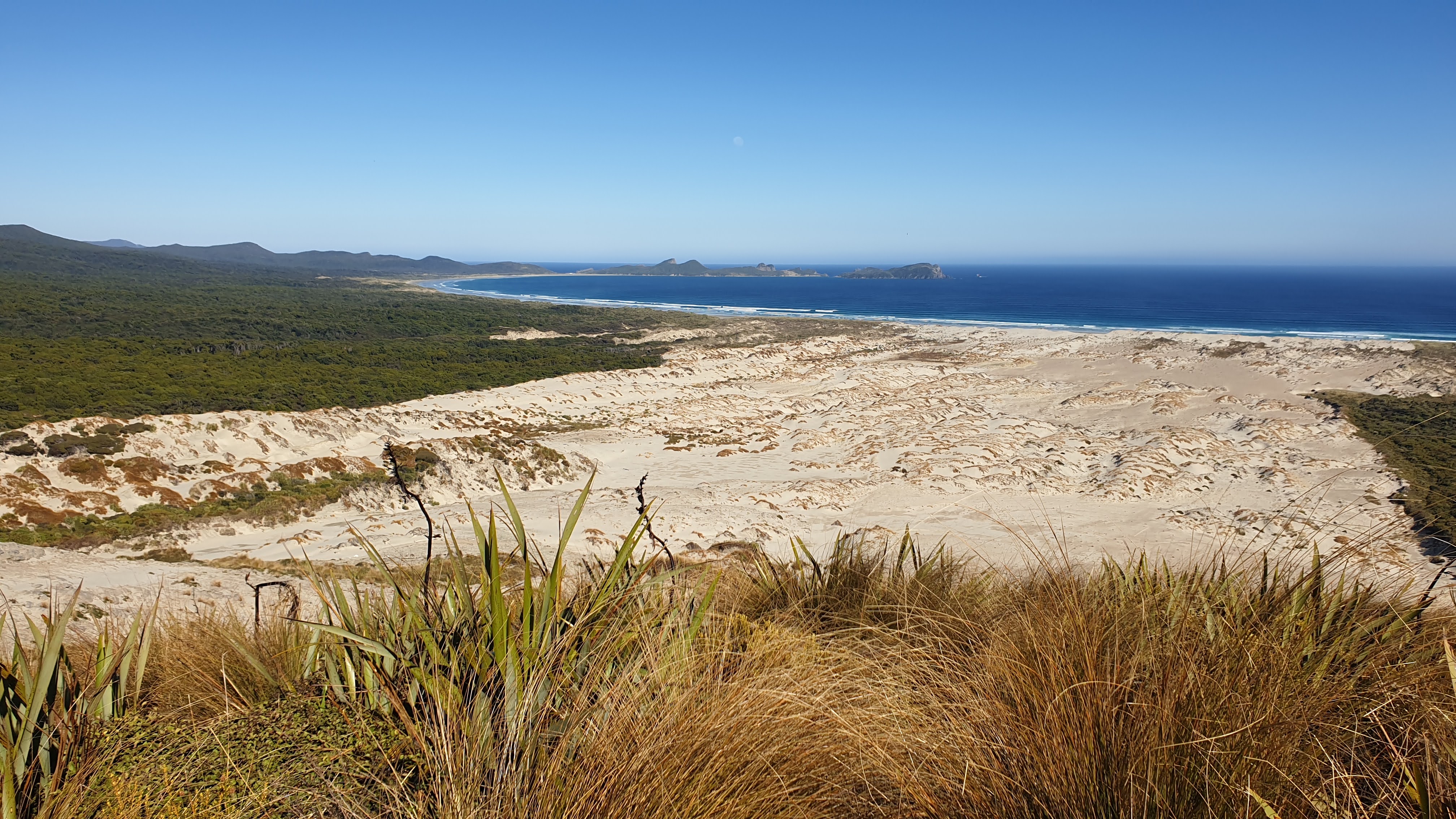 The sand dune system at Mason Bay