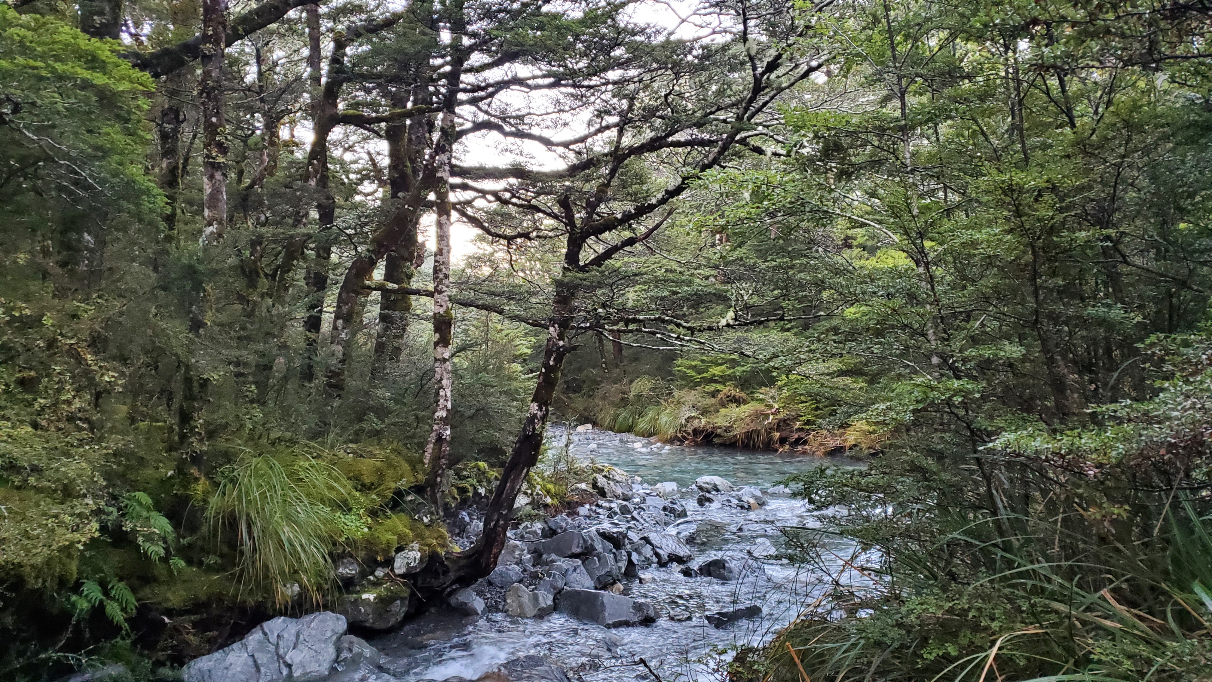 Side stream on the Nina Valley Track