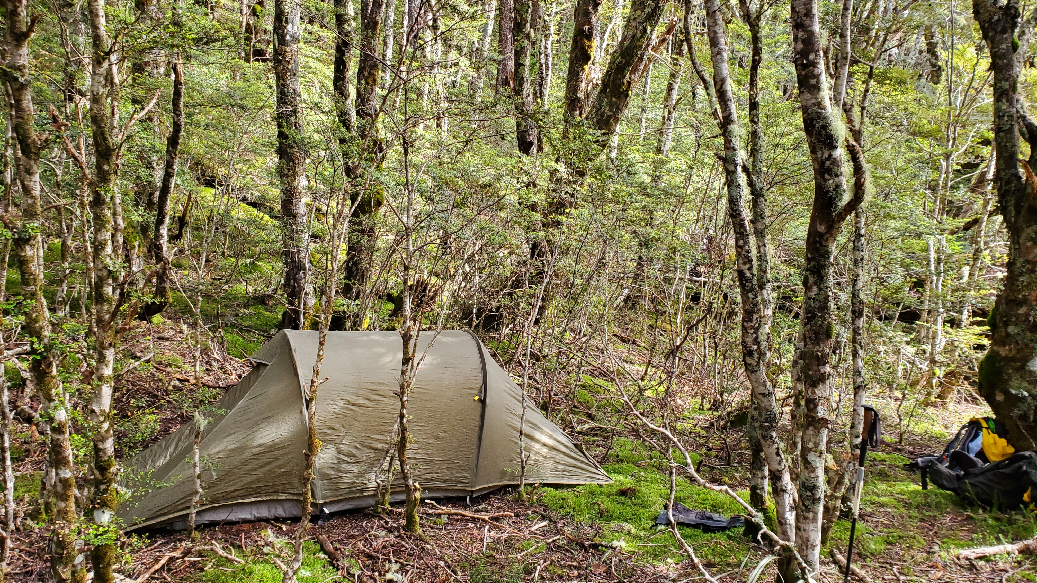 Camping in the forest above Ranger biv