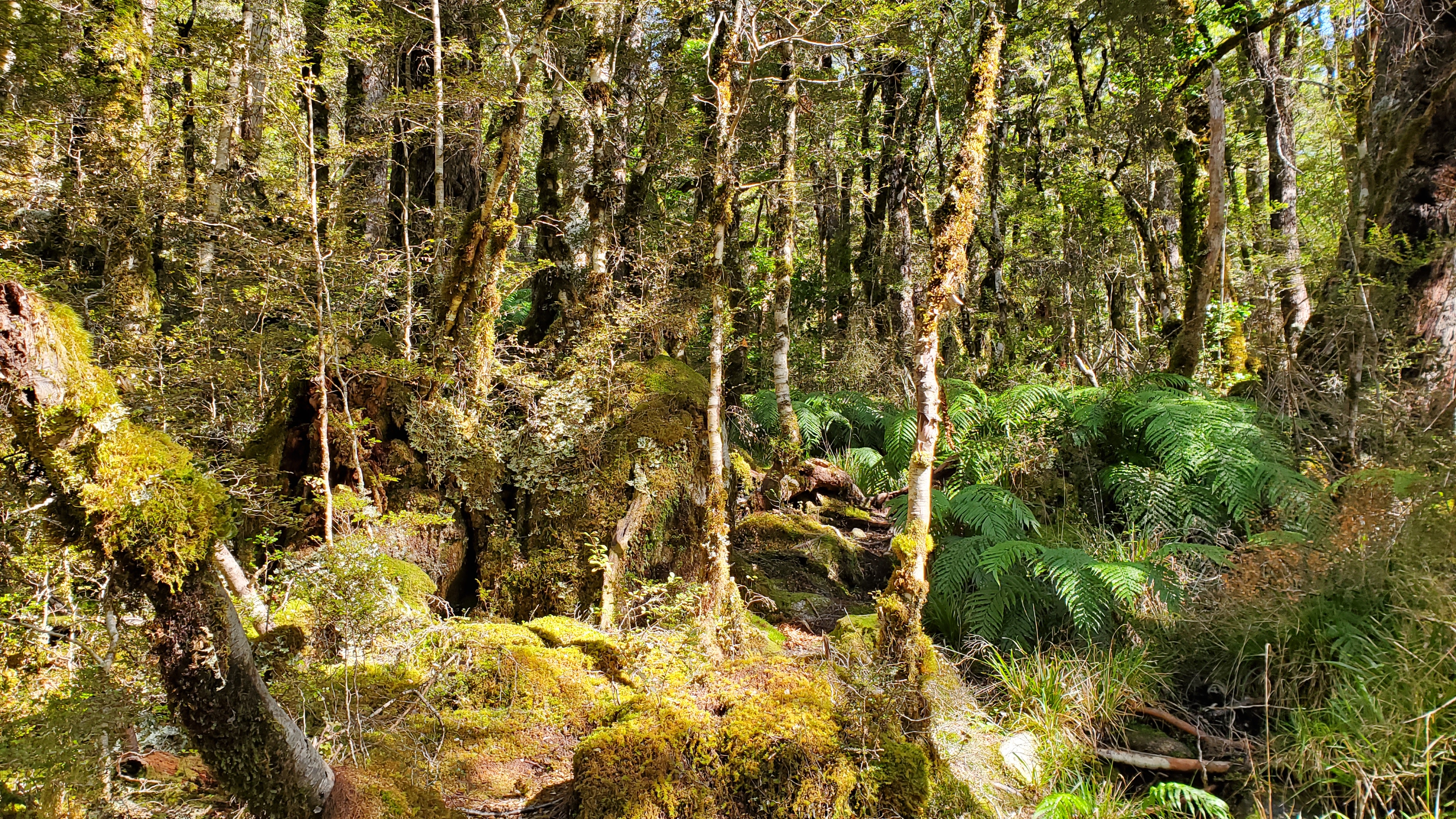 Starting the Mt Haast Route
