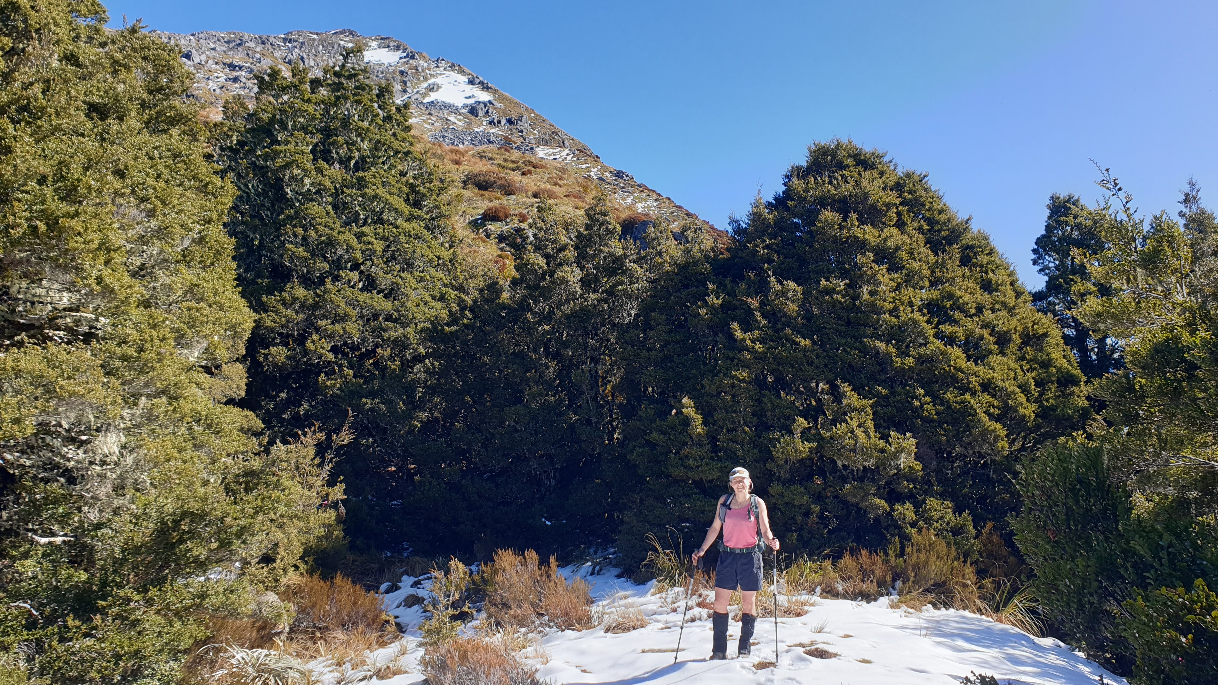 Enjoying the snow, Mt Haast
