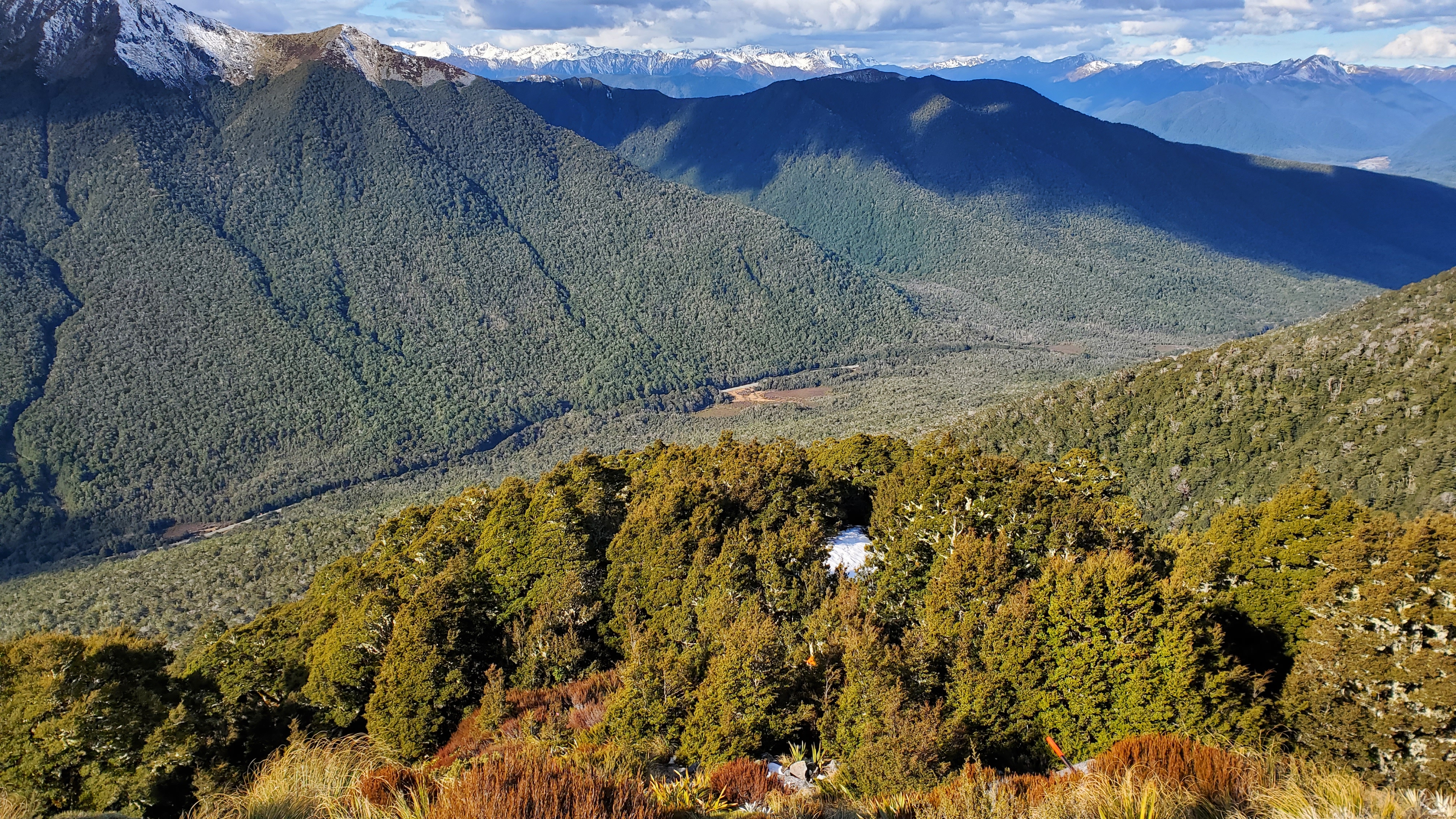 Towards the bush line at Mt Haast