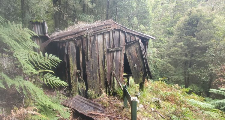 Meikles Hut, Moonlight Pack Track