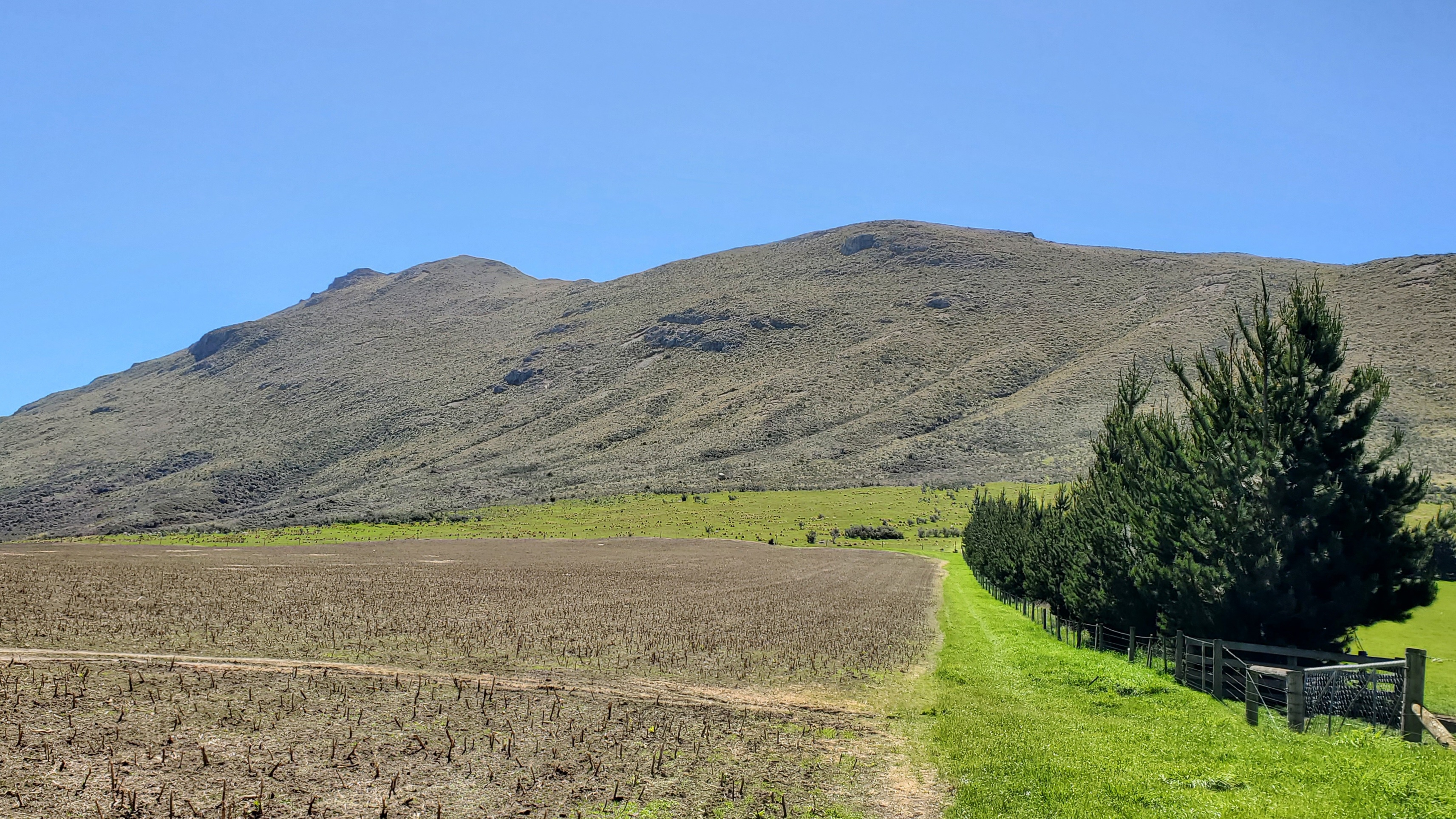 Around the paddock and up towards Peak Hill