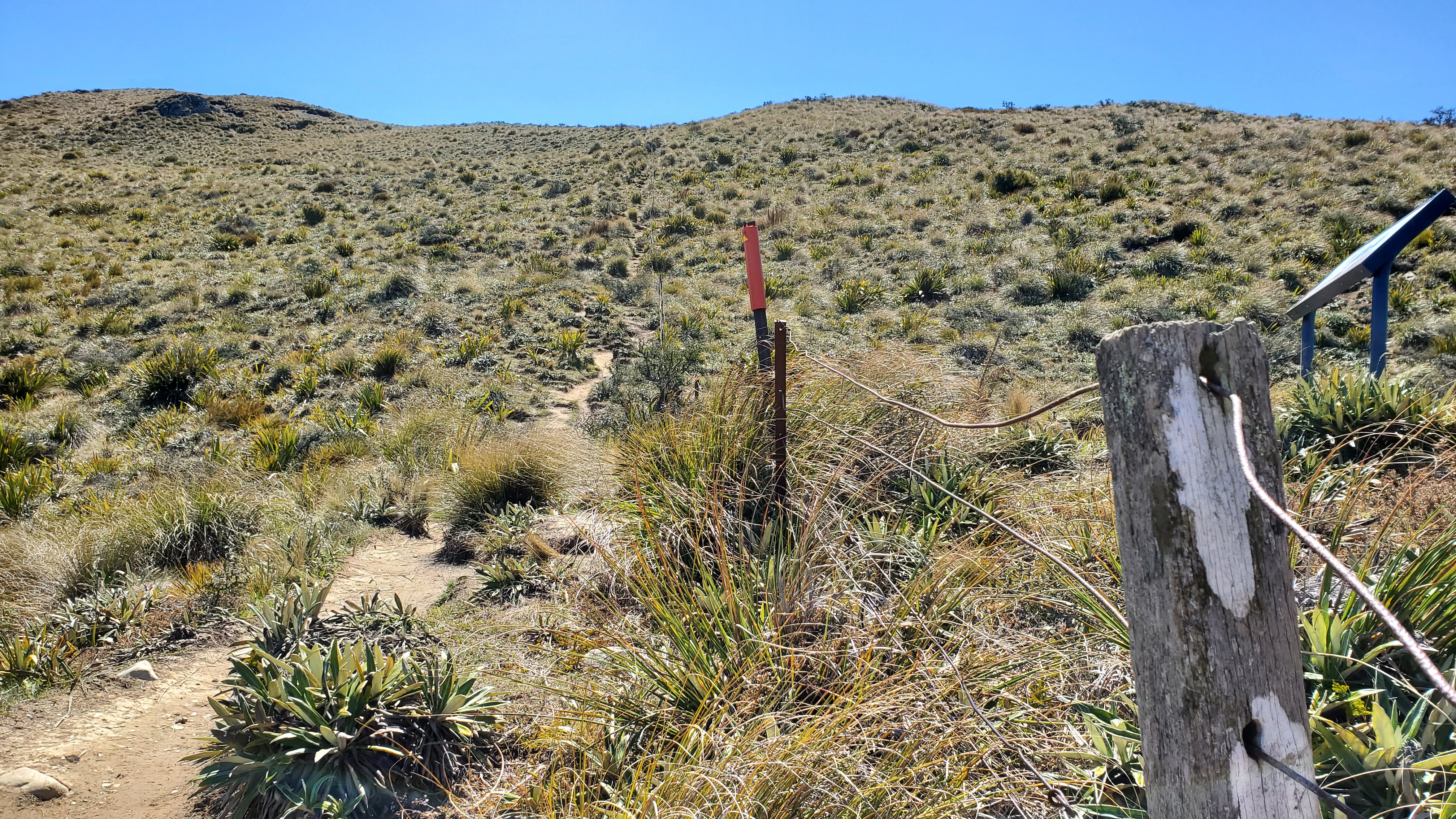 Reaching the fenceline on the Peak Hill Track