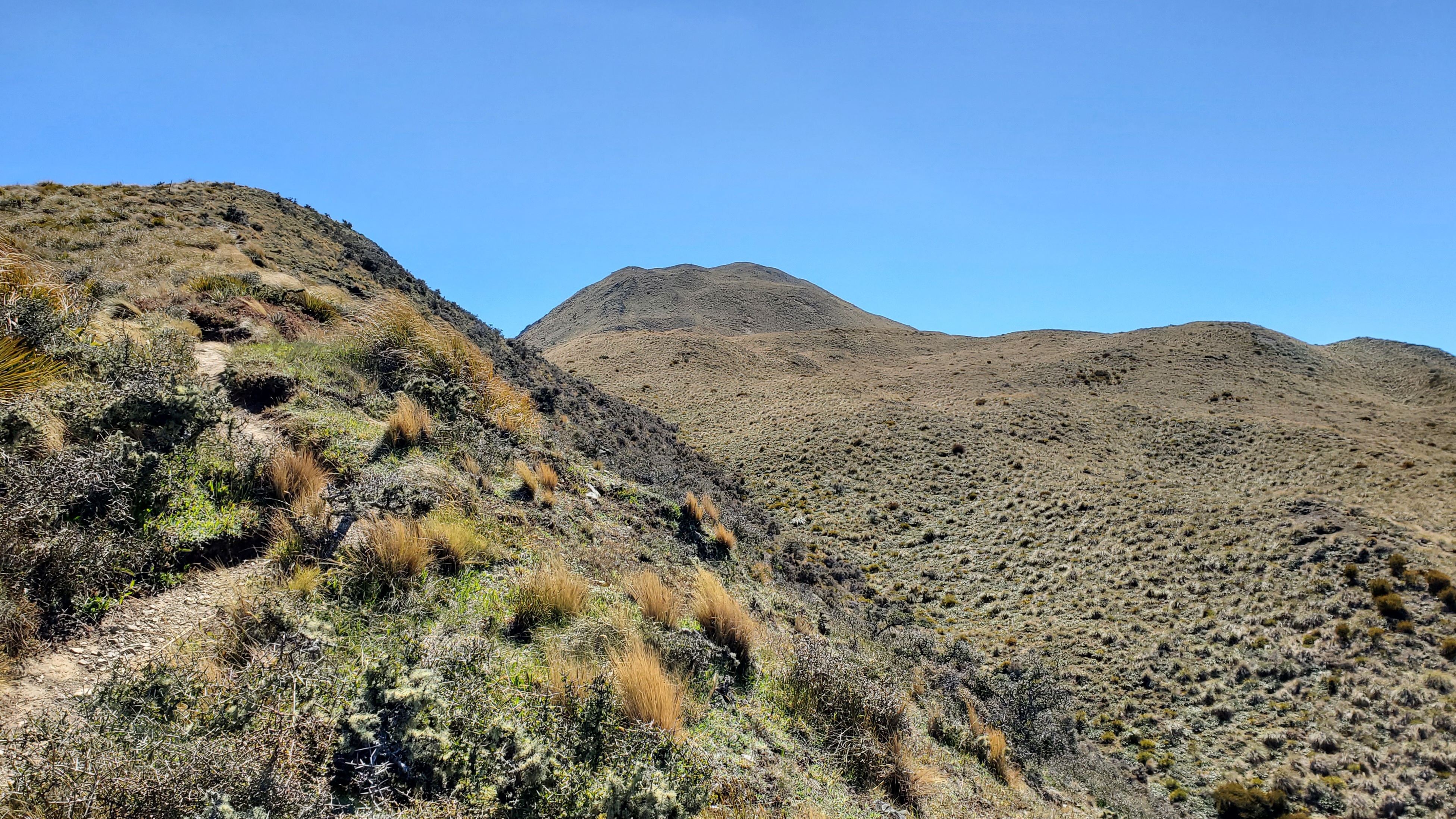 Looking up the ridge of the Peak Hill Track