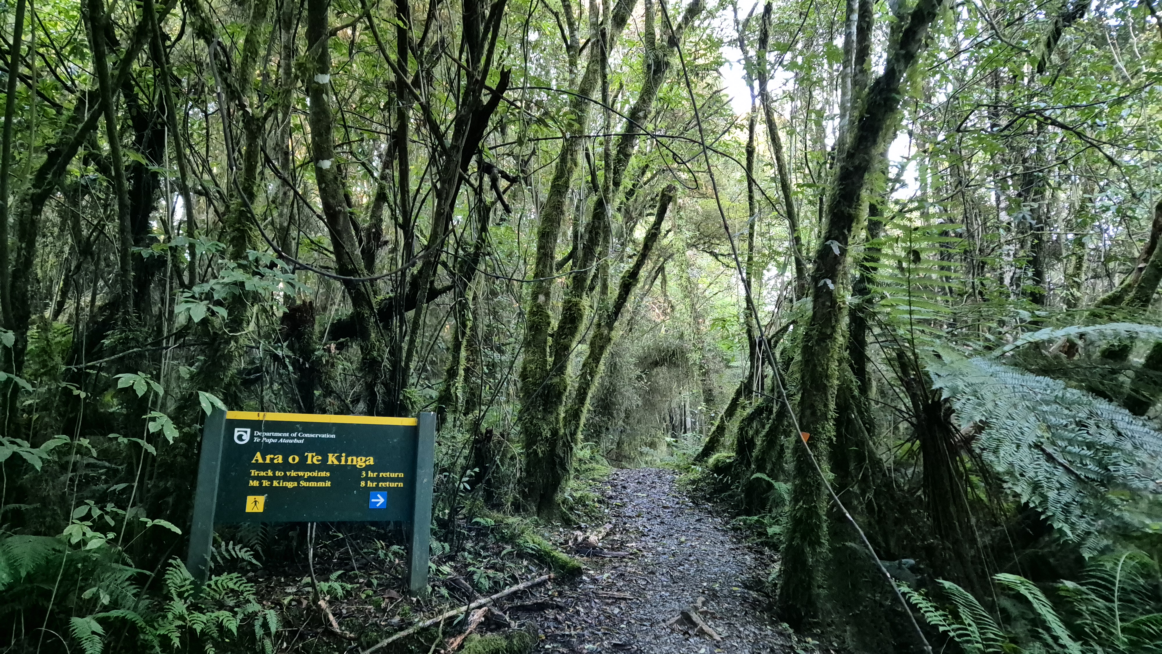Te Kinga Track signage
