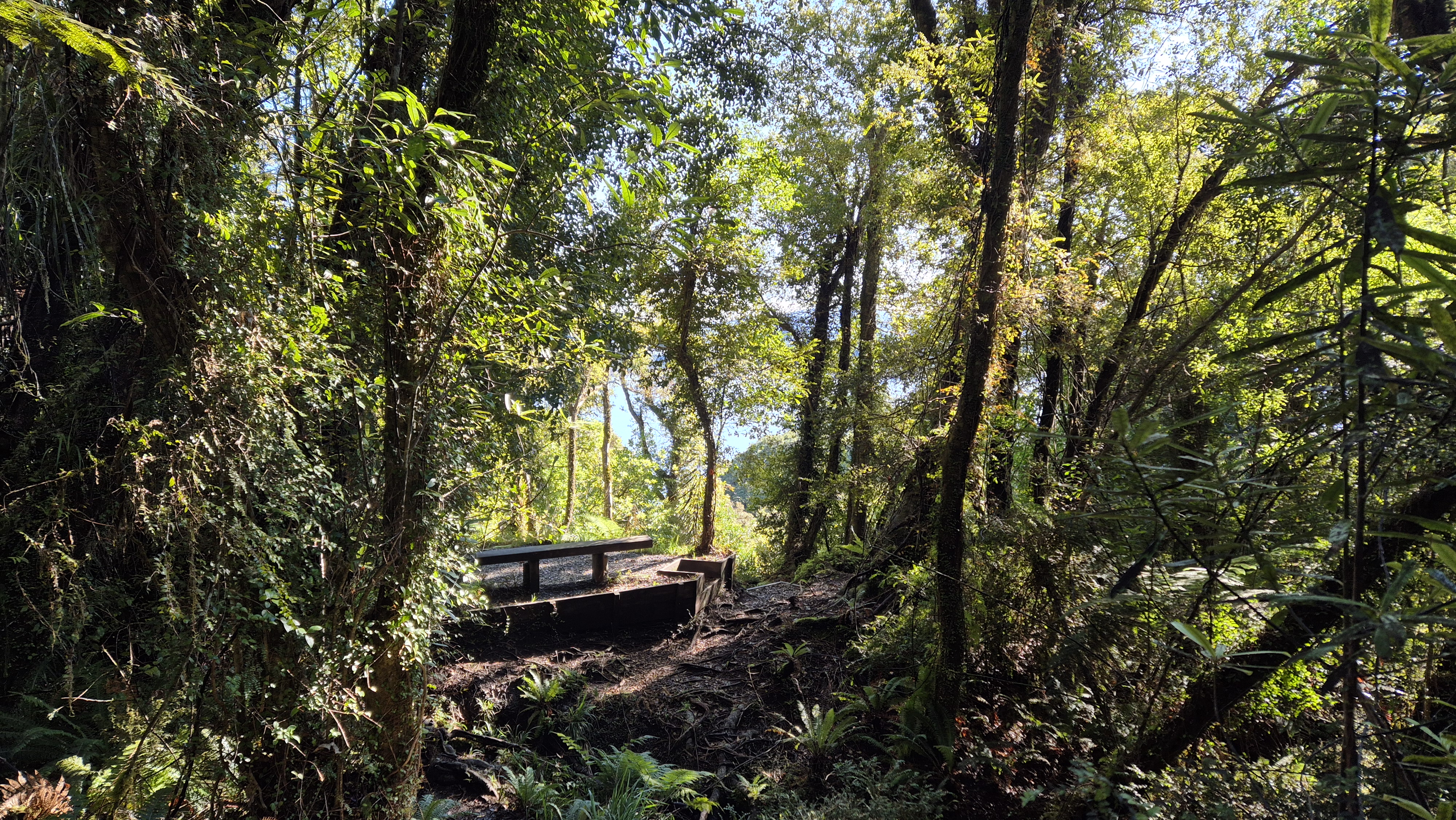 At the first bench on Te Kinga Track