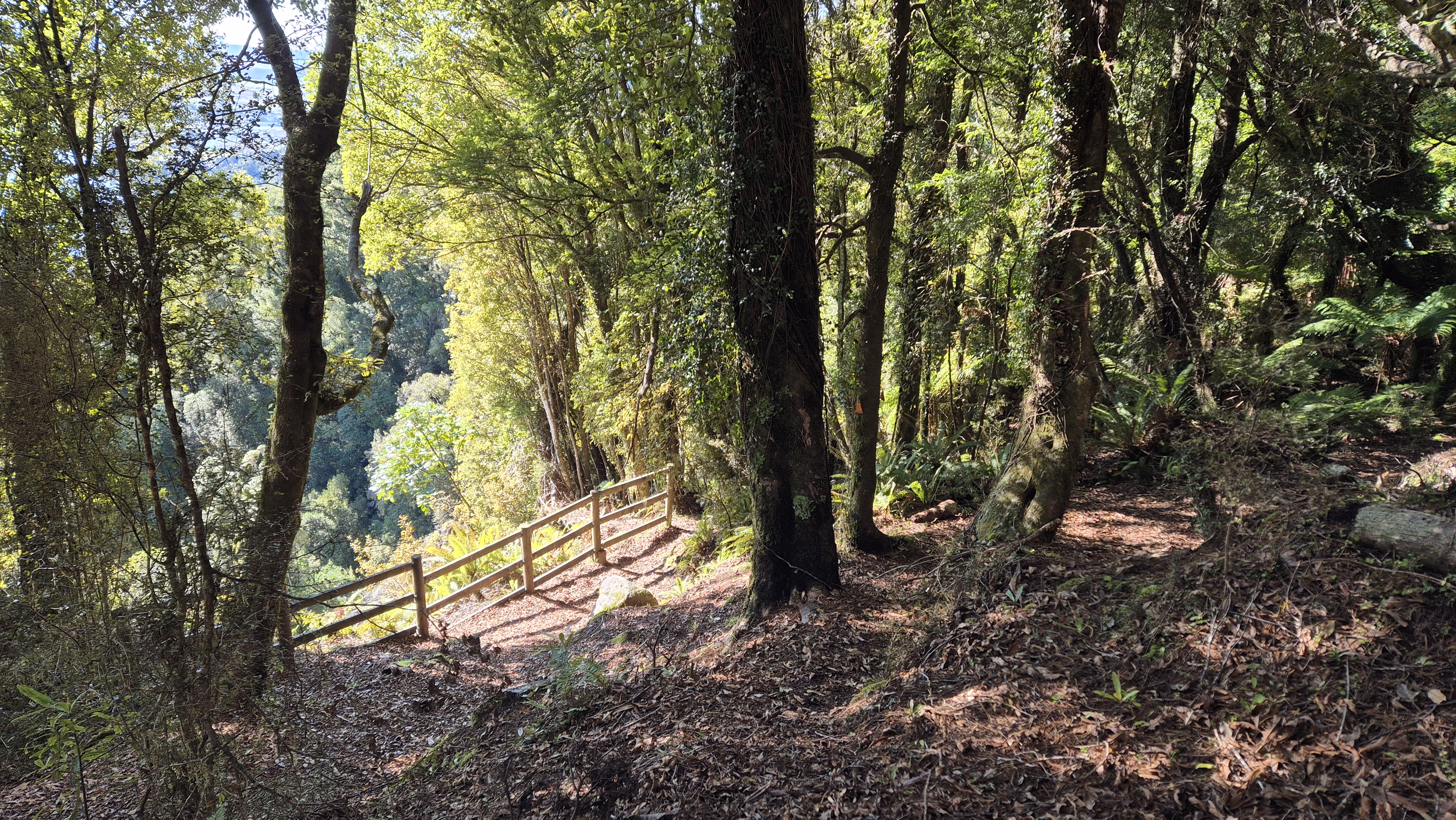 The second lookout on Te Kinga Track
