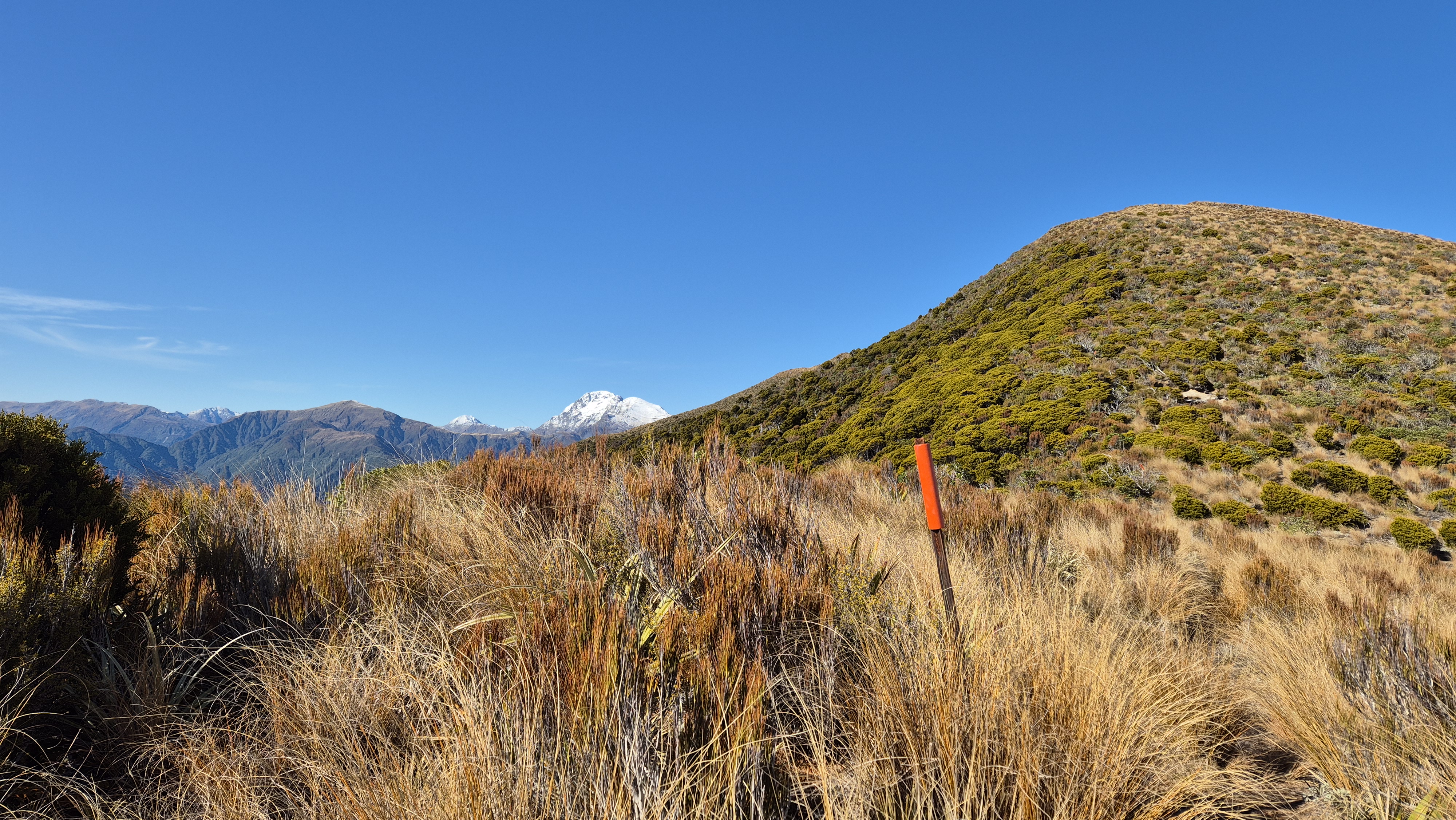 Towards Te Kinga summit