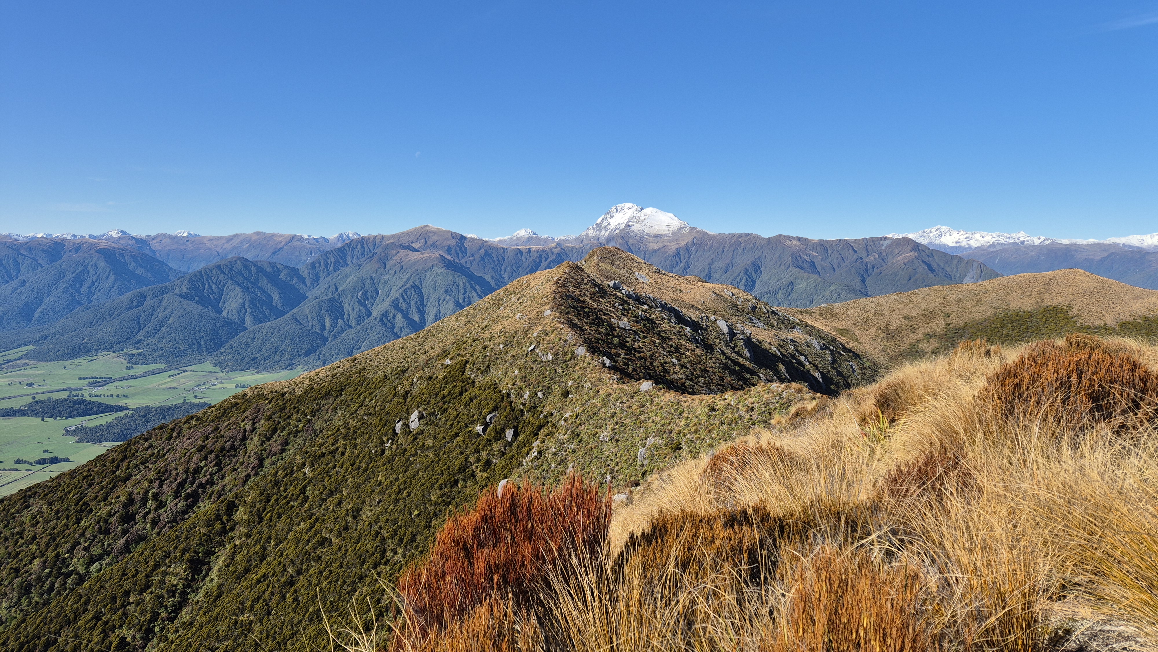 From Te Kinga Trig towards the summit at 1204m