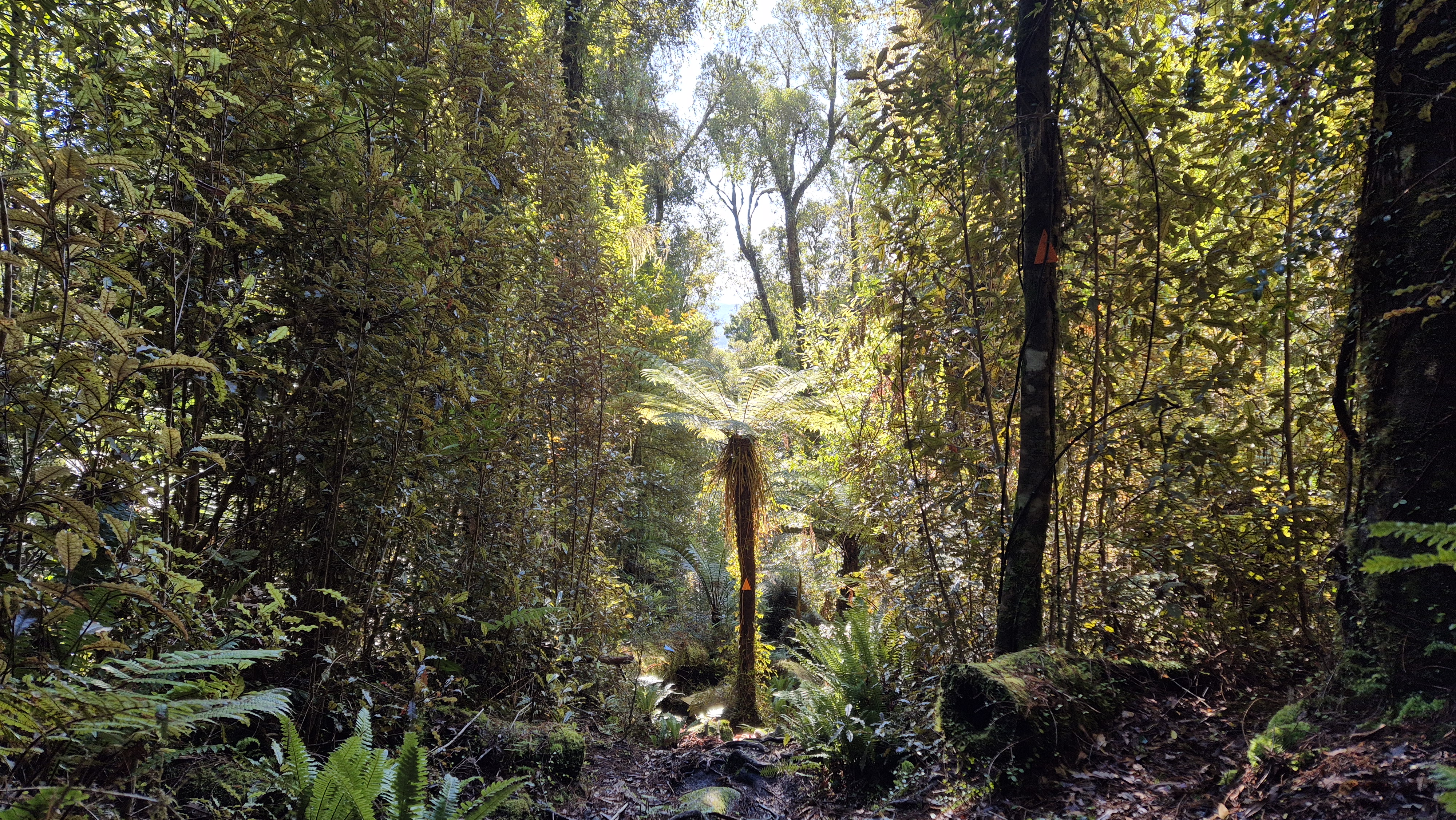 Heading back down Te Kinga