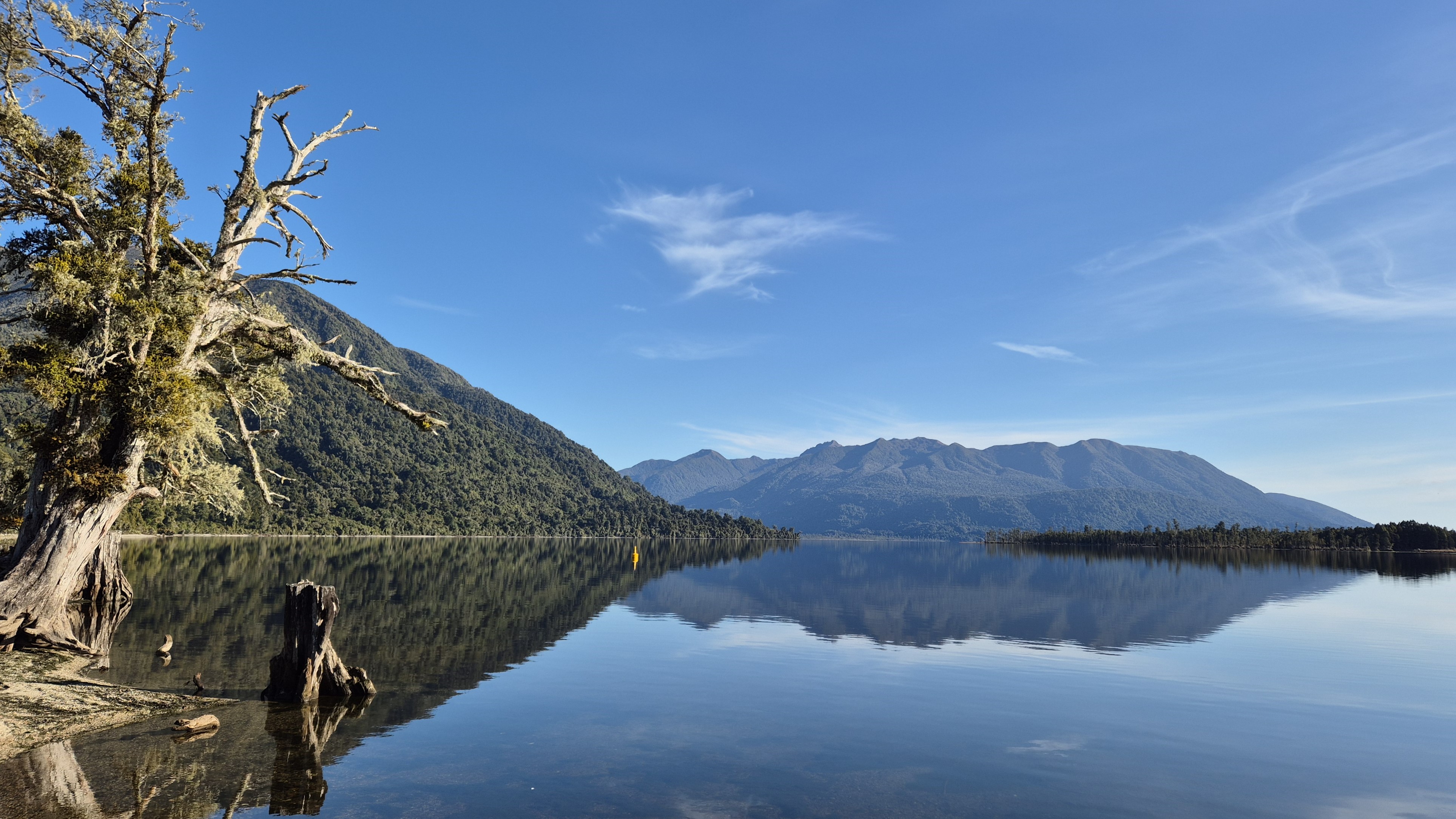A swim in Lake Brunner after walking up Te Kinga Track
