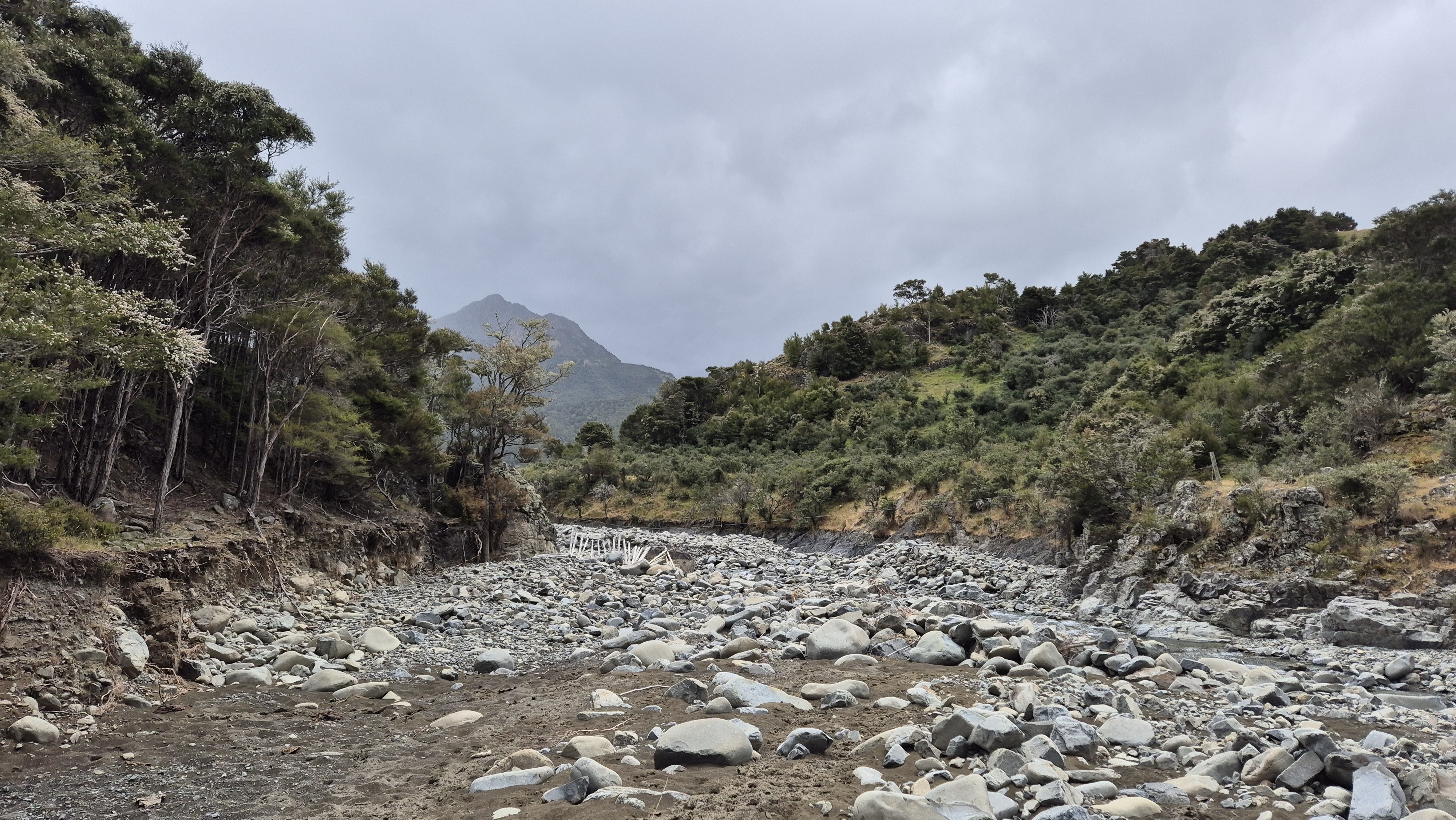 Gosling Stream near the Waihopai river confluence