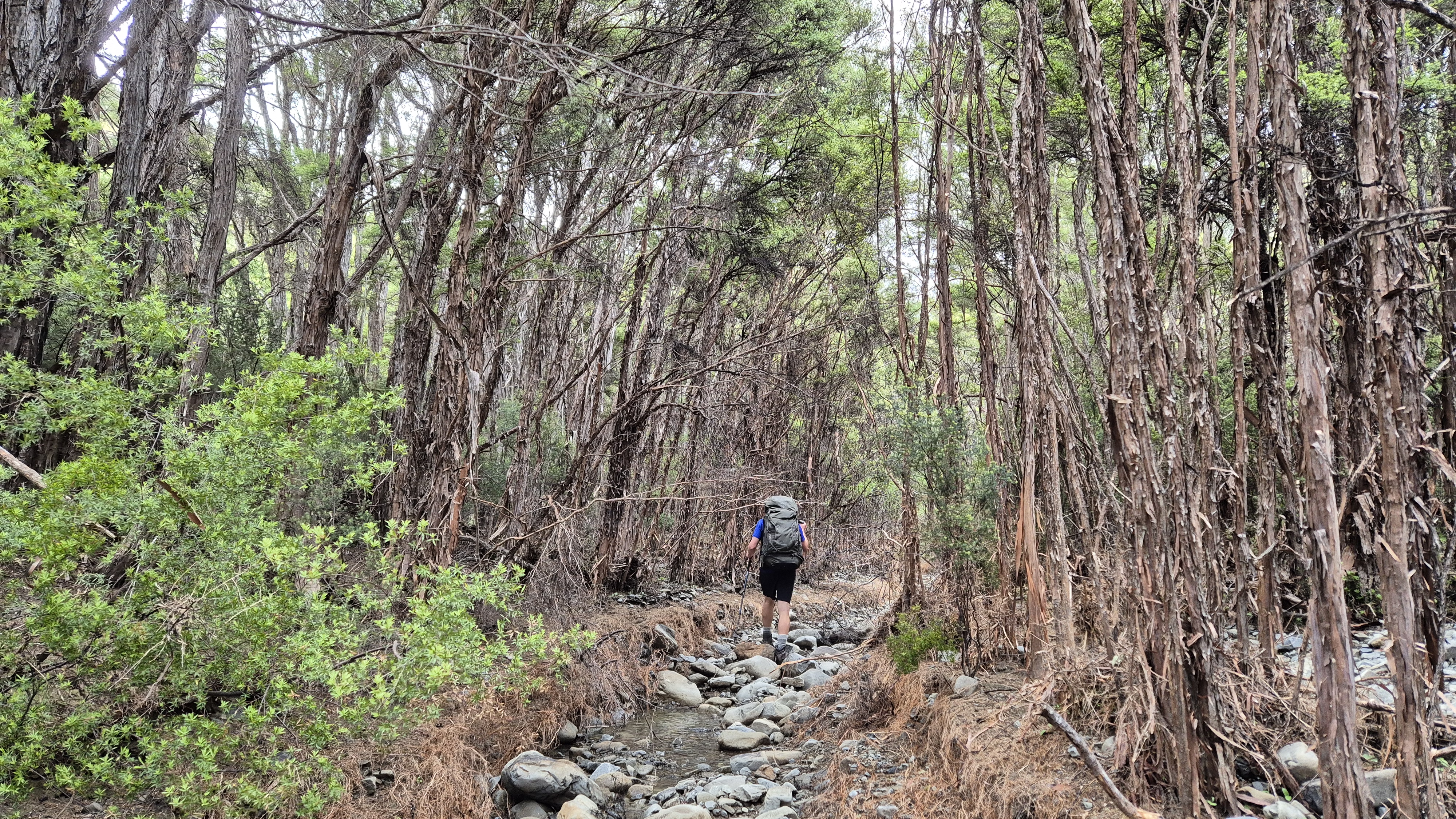 Heading back towards to Gosling Stream