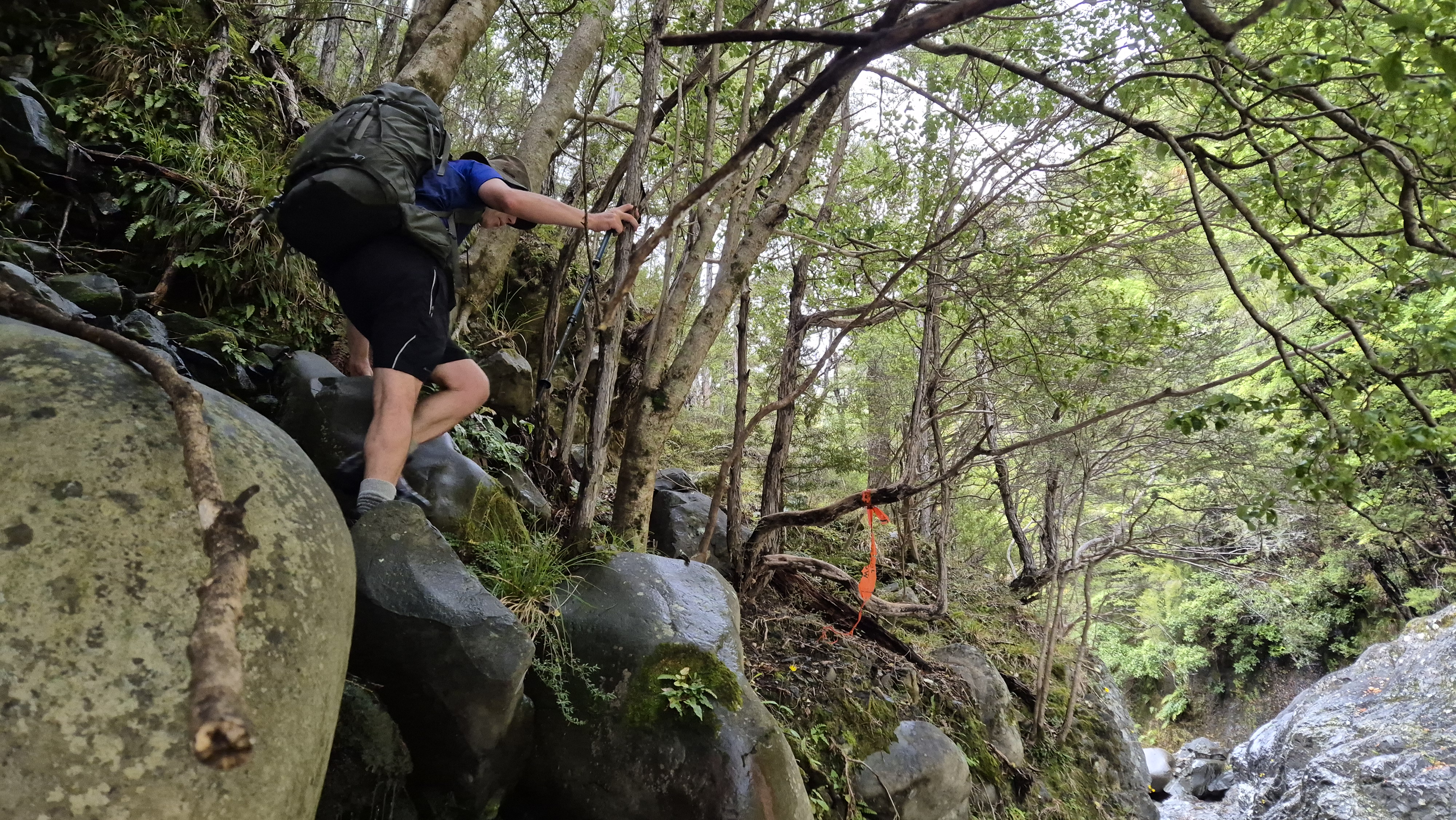 Slippery scramble up and over the gorge, Gosling Stream near Gosling Hut
