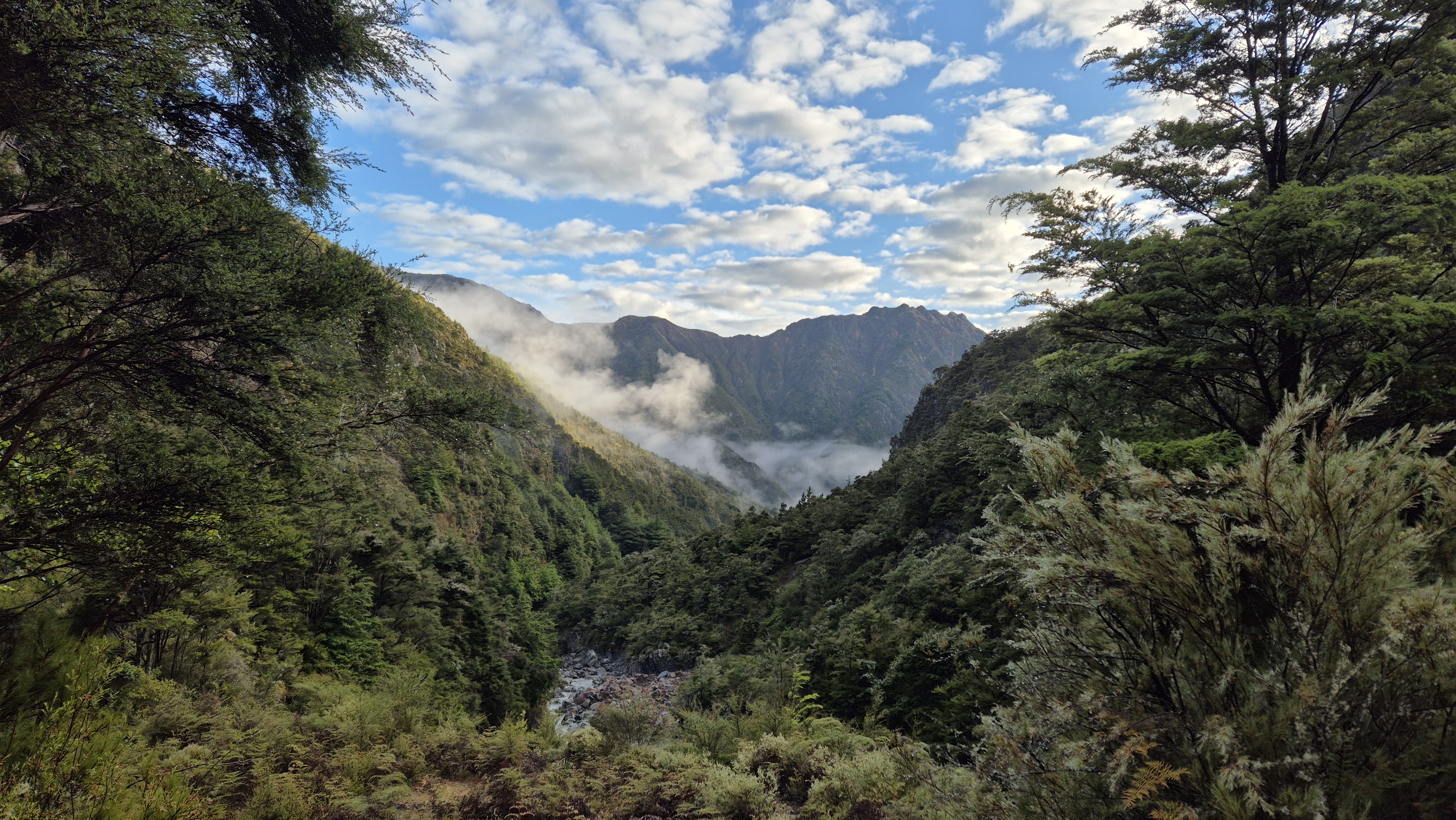 Views from Gosling Hut down Gosling Stream