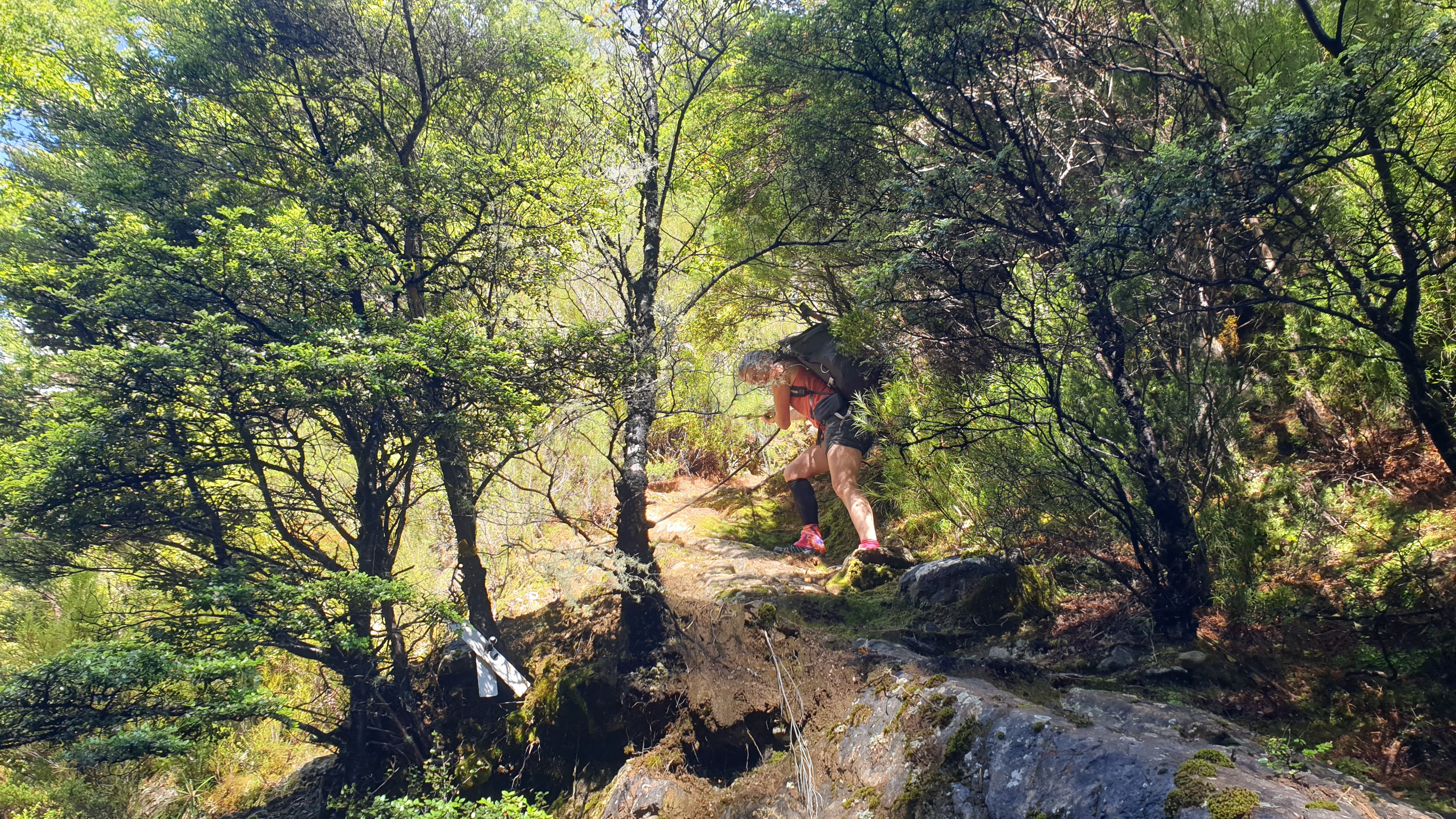 Climbing down from Gosling Hut to Gosling Stream