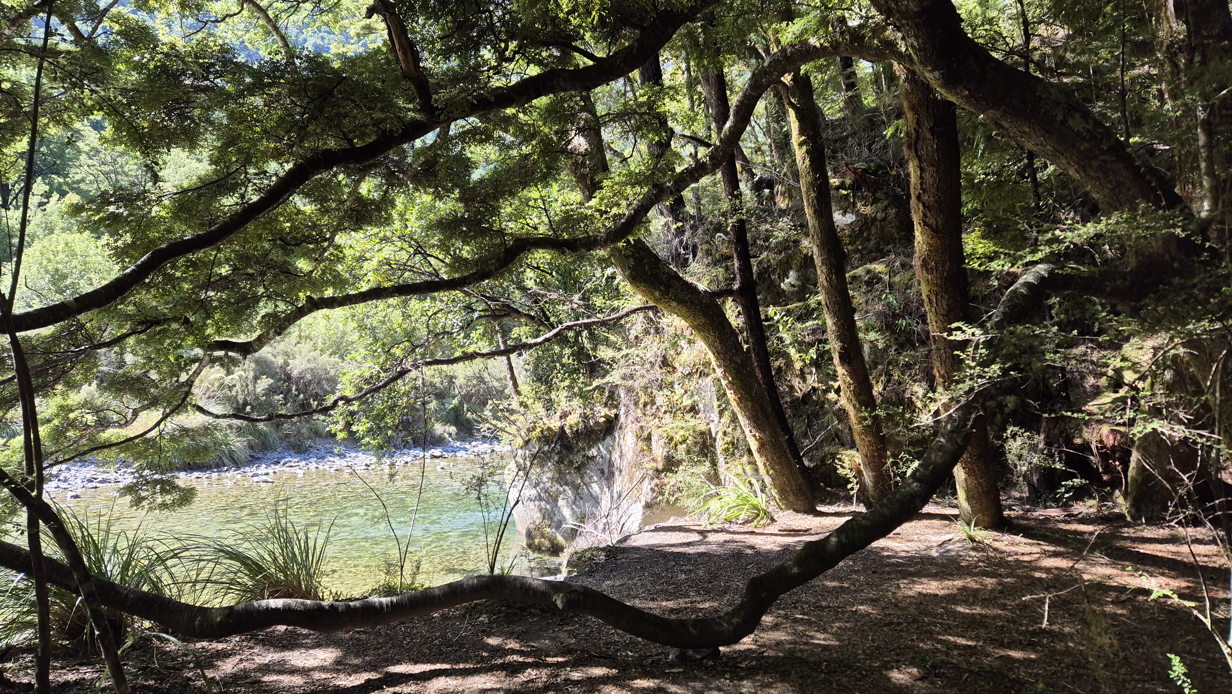 Perfect lunch spot on the Sabine River. Moss Pass tramp