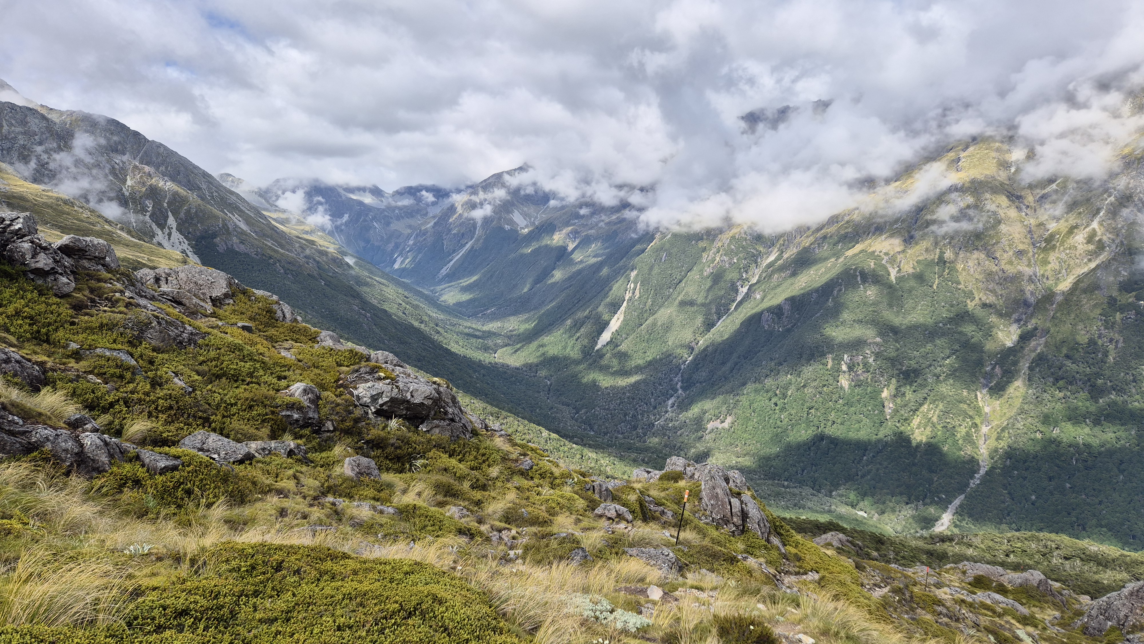 The head of the D'Urville River valley, descending from Moss Pass