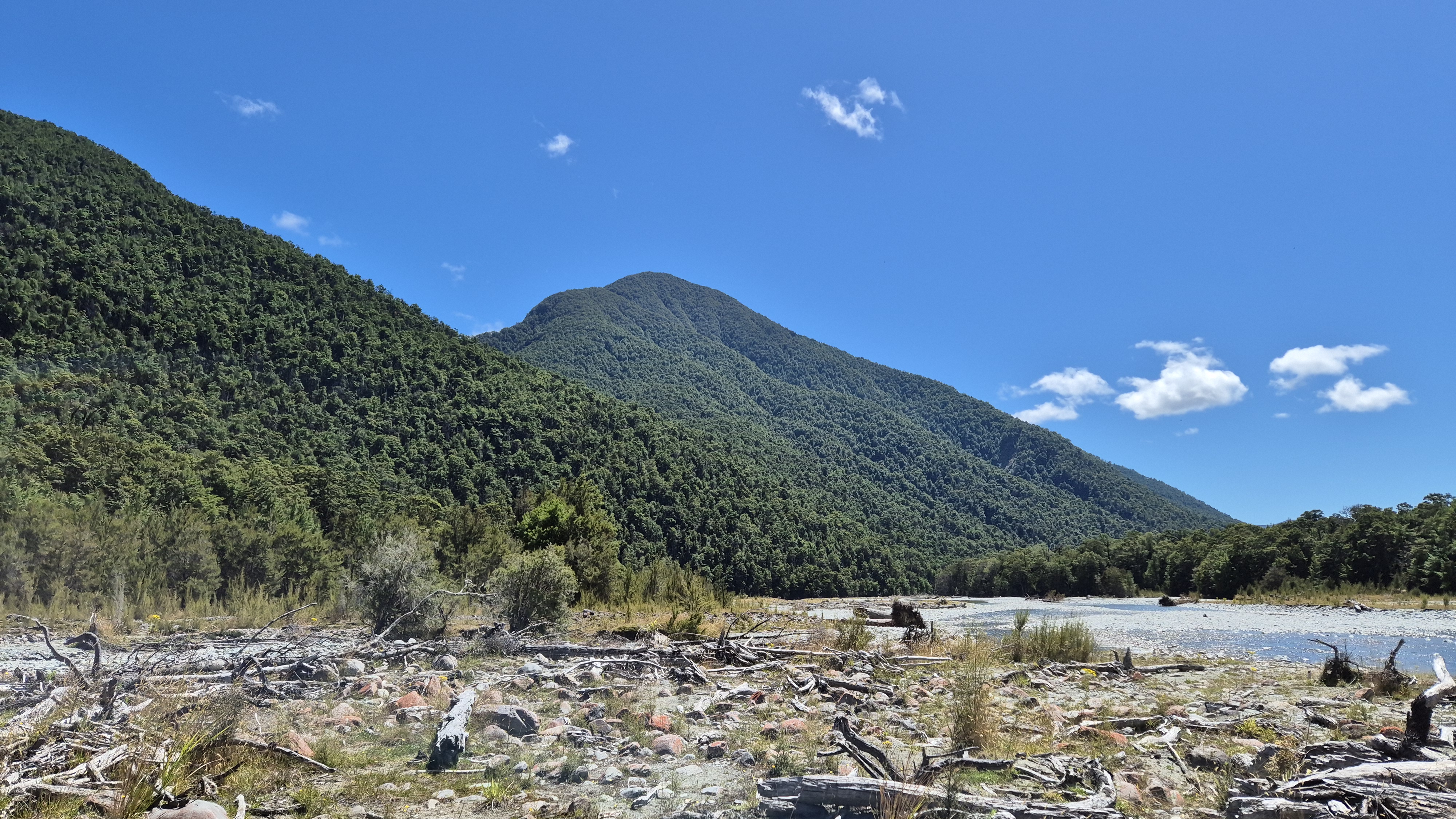 Mt Hutton from the D'Urville, Moss Pass tramp