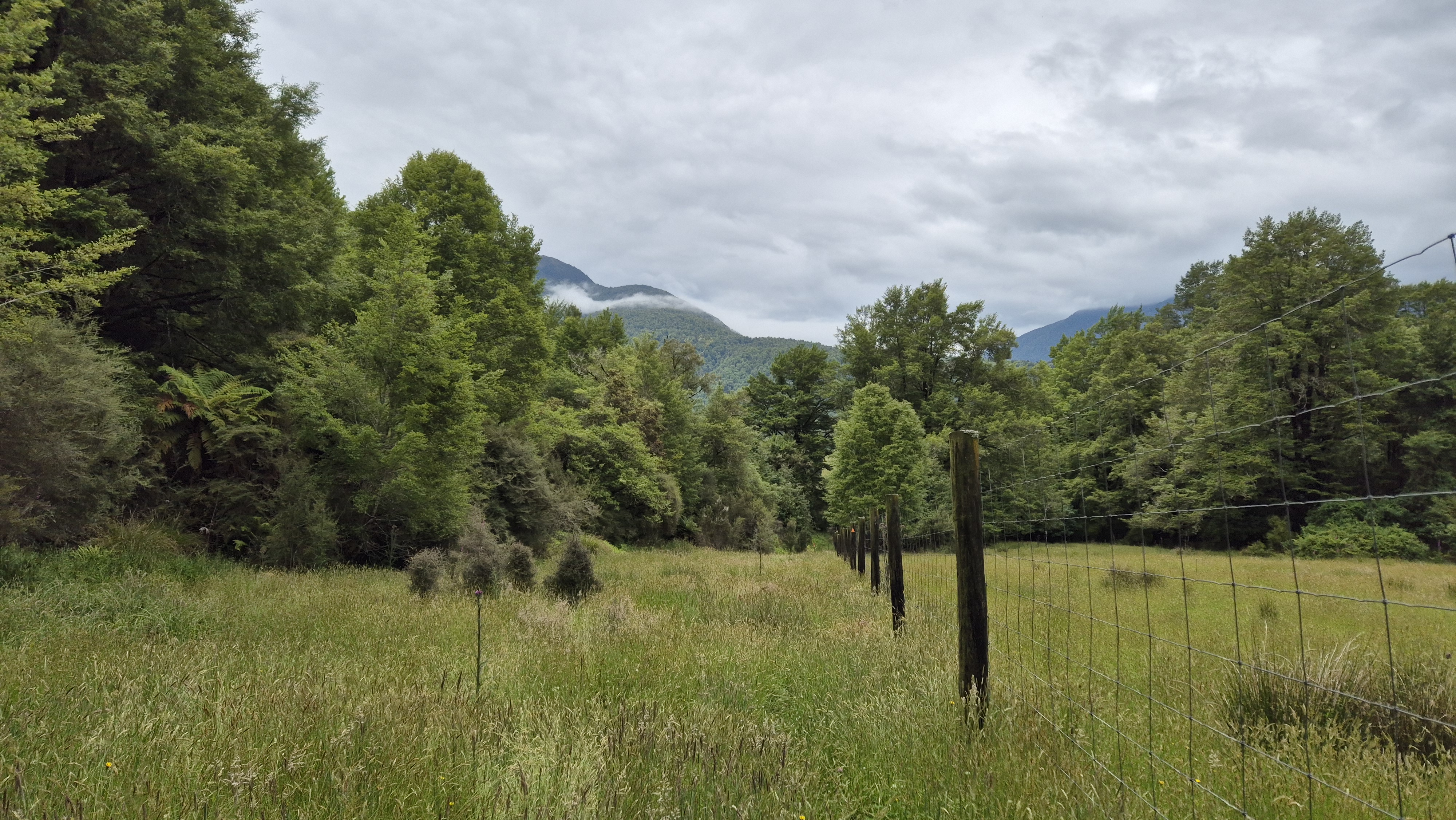 Fence at the start of the Robinson River Track, Robinson Christabel loop