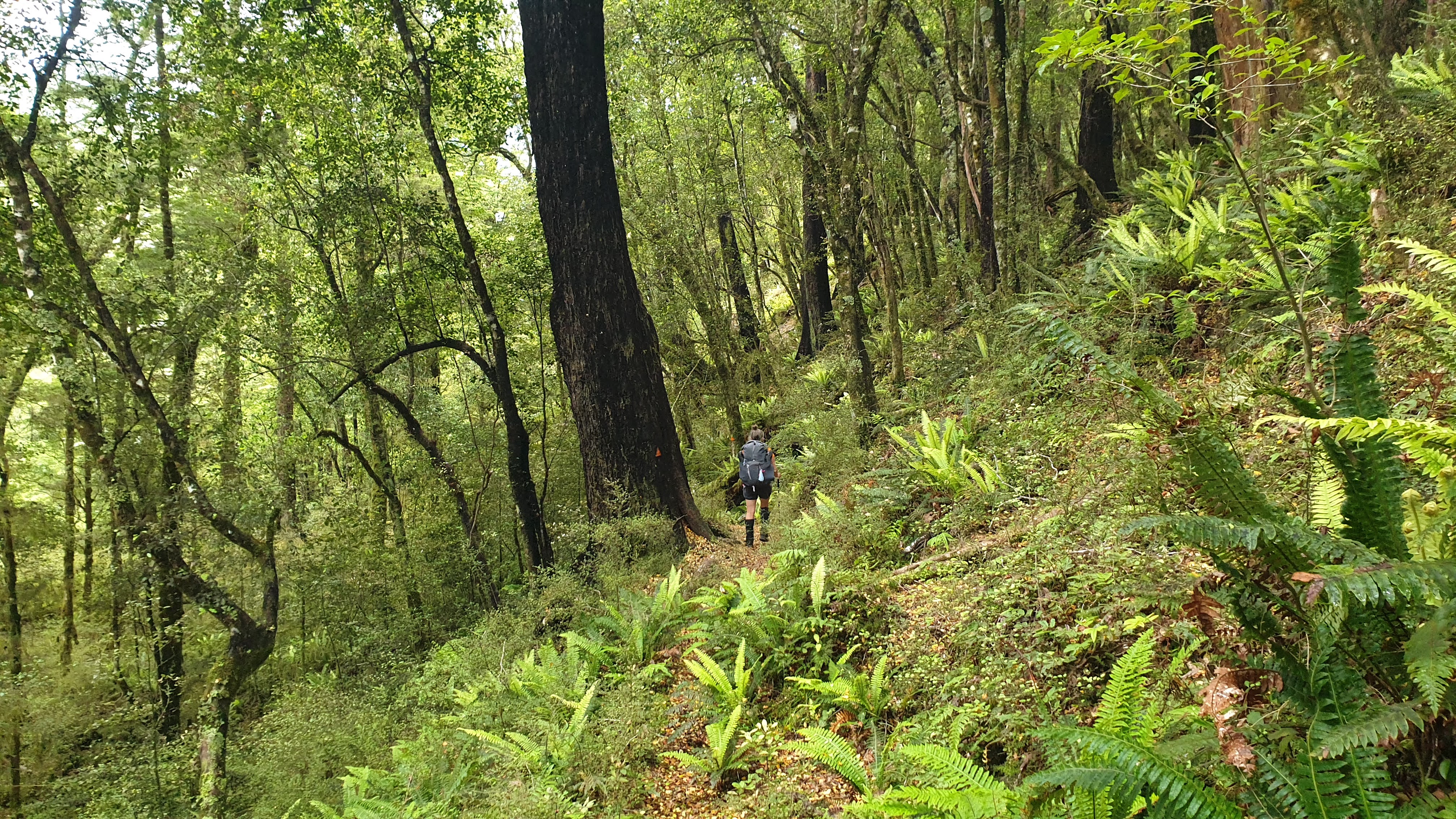 Towards the Robinson River, Robinson Christabel Track