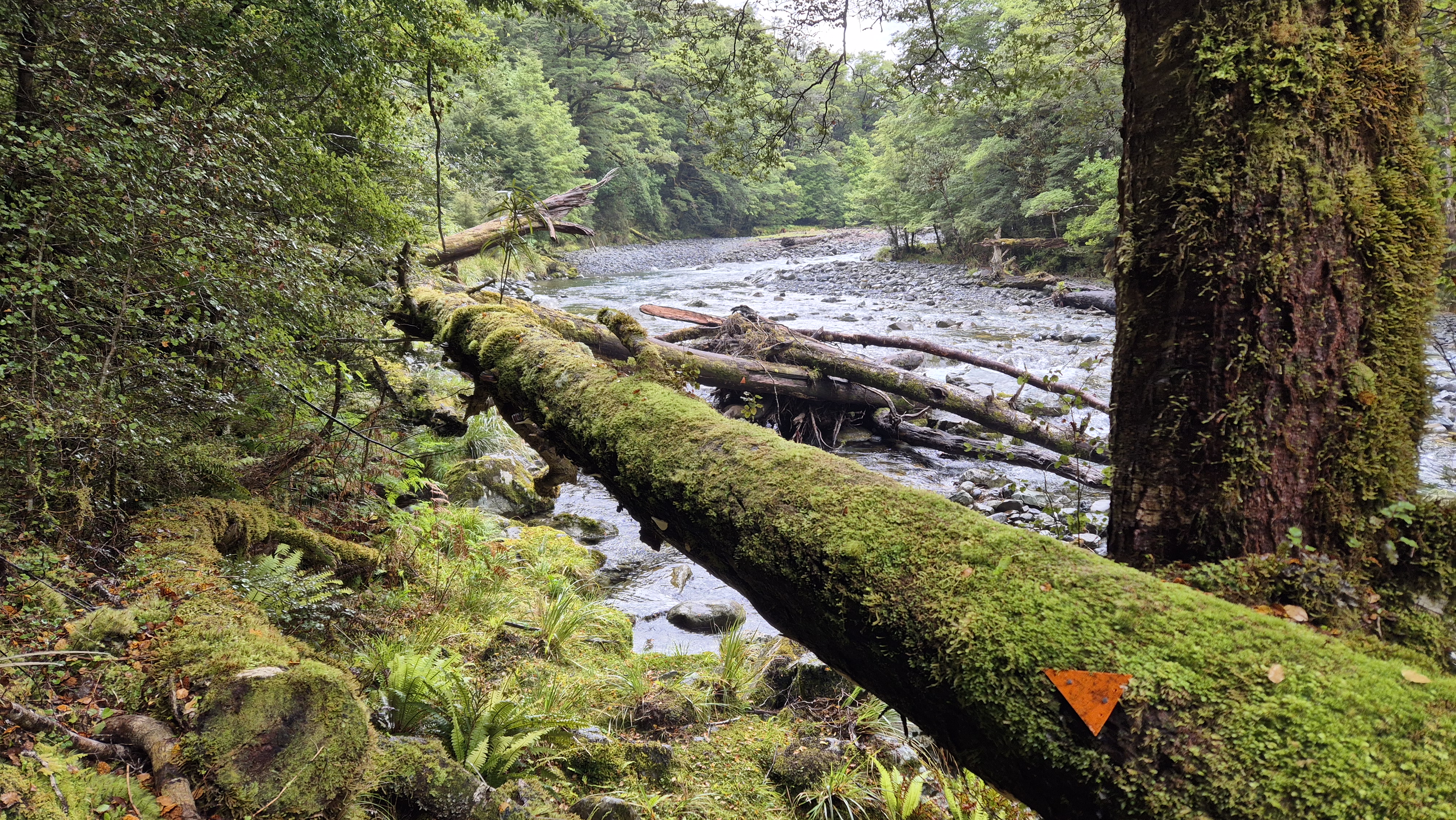 Marker on a log Robinson Christabel Track